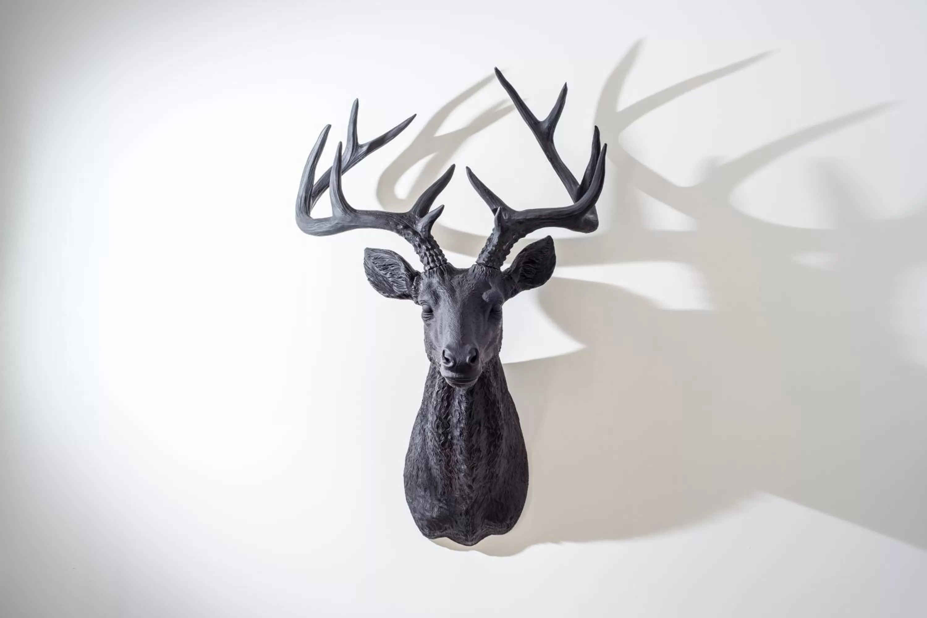 Other, Other Animals in Private Living Apartments