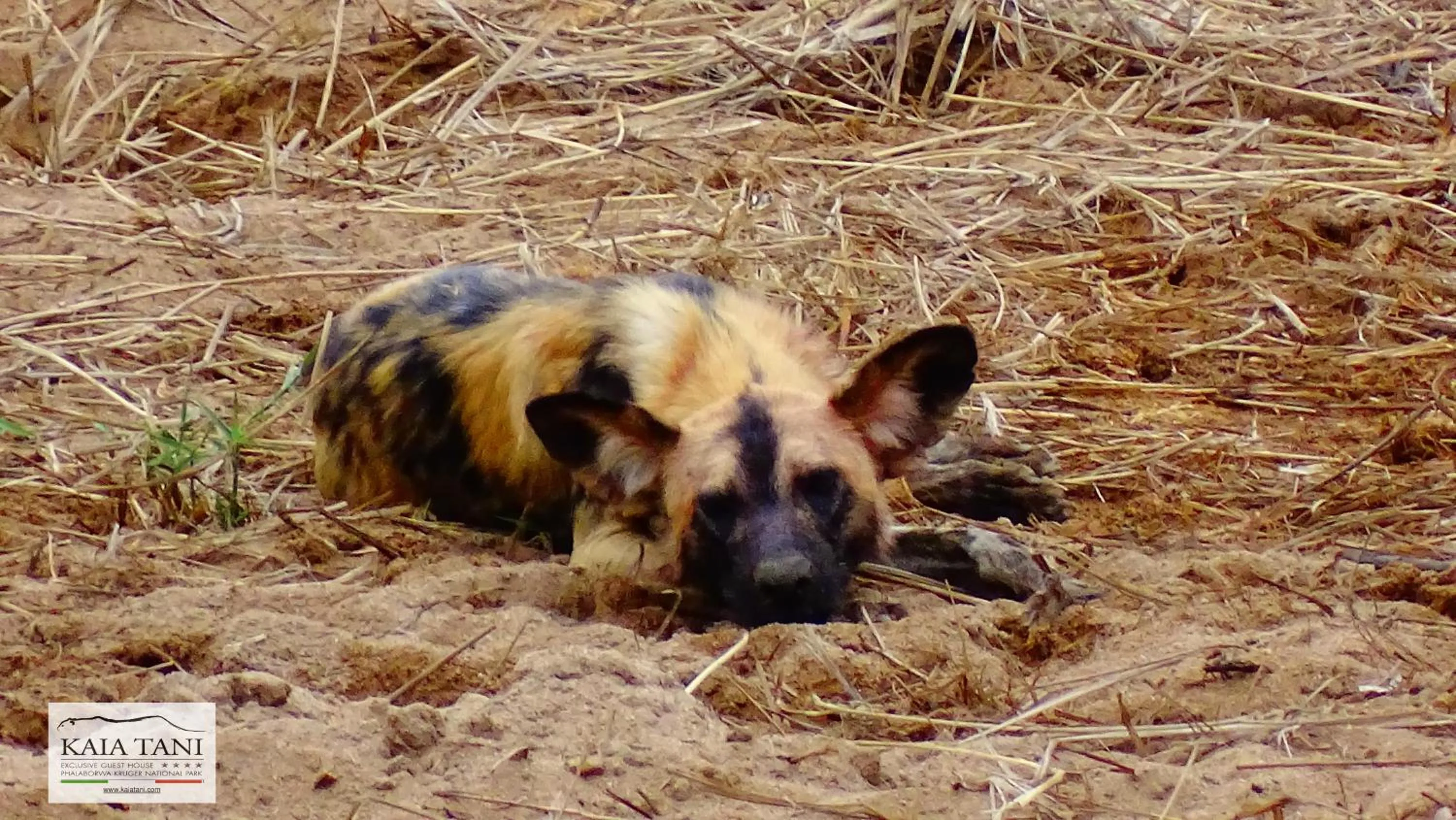 Activities in Kaia Tani Exclusive Guesthouse