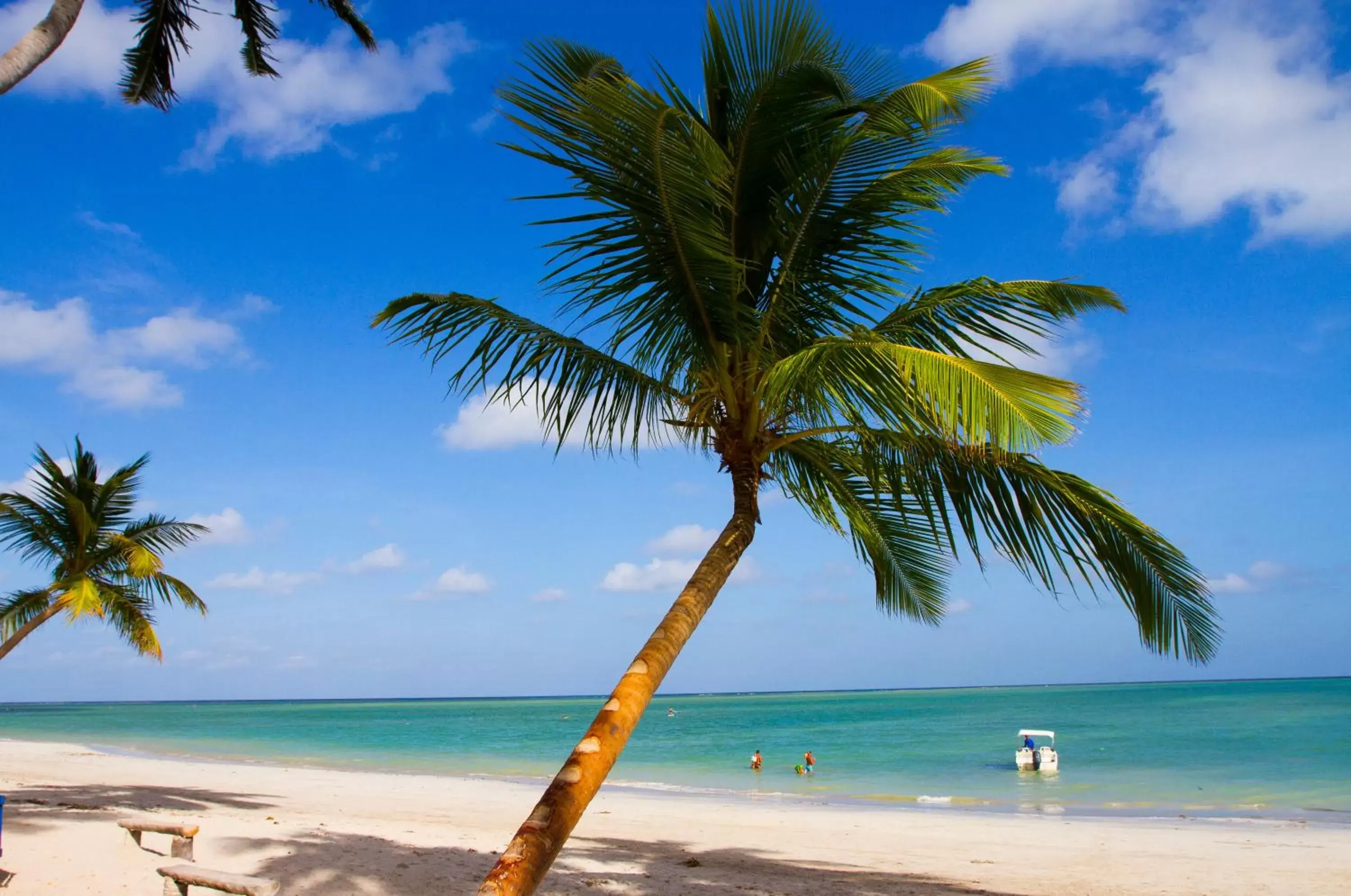 Natural landscape, Beach in Hotel Areias Belas