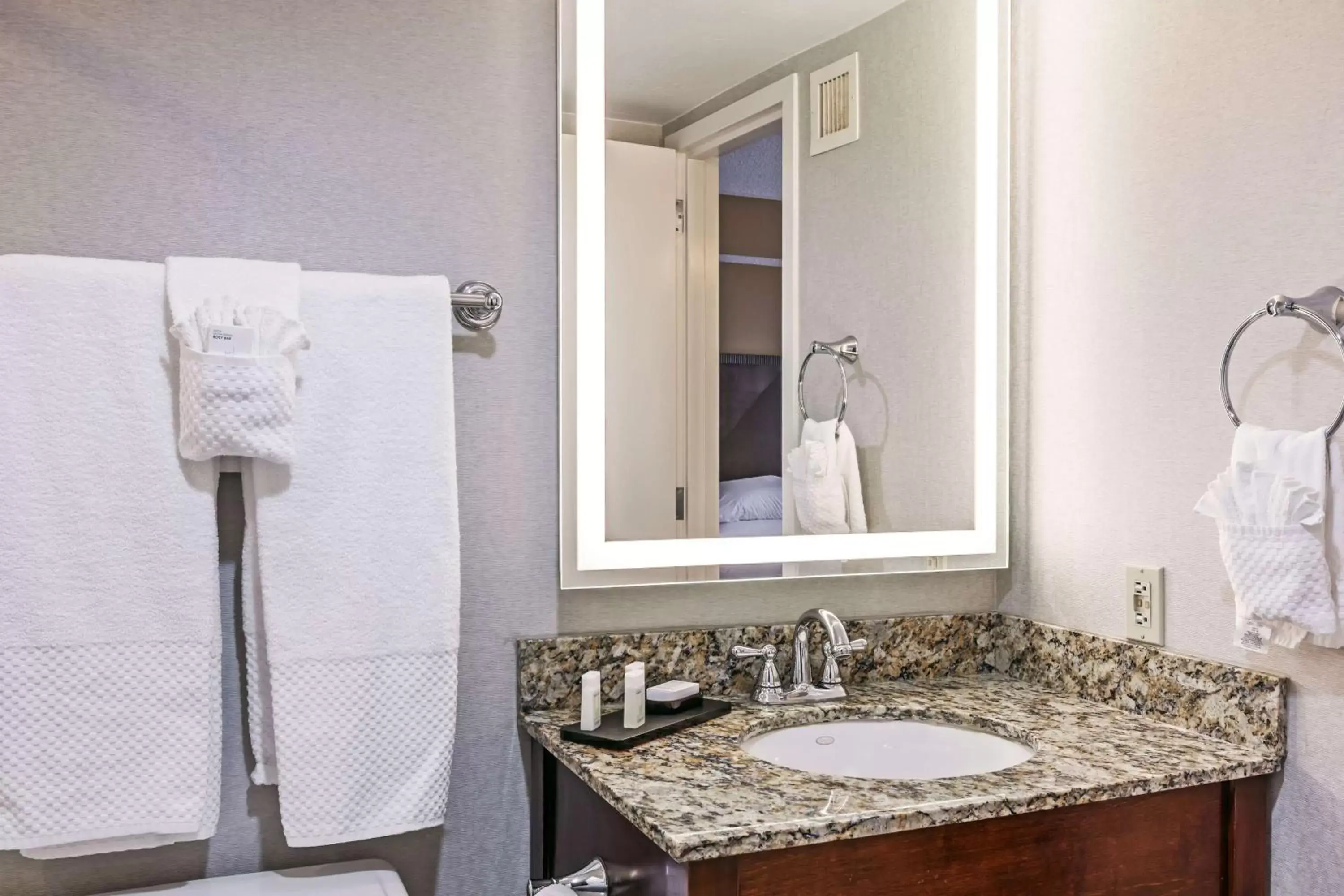 Bathroom in Embassy Suites by Hilton Dallas Market Center