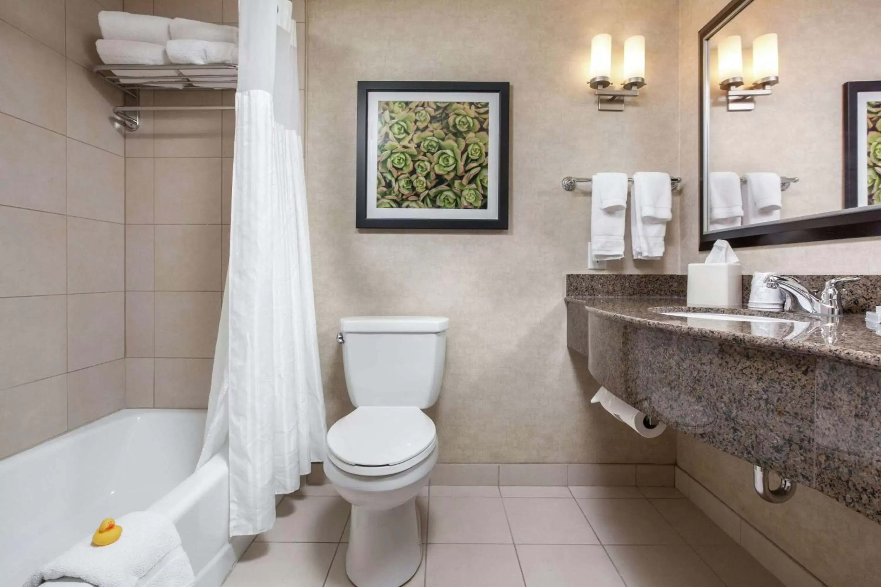 Bathroom in Hilton Garden Inn Fargo