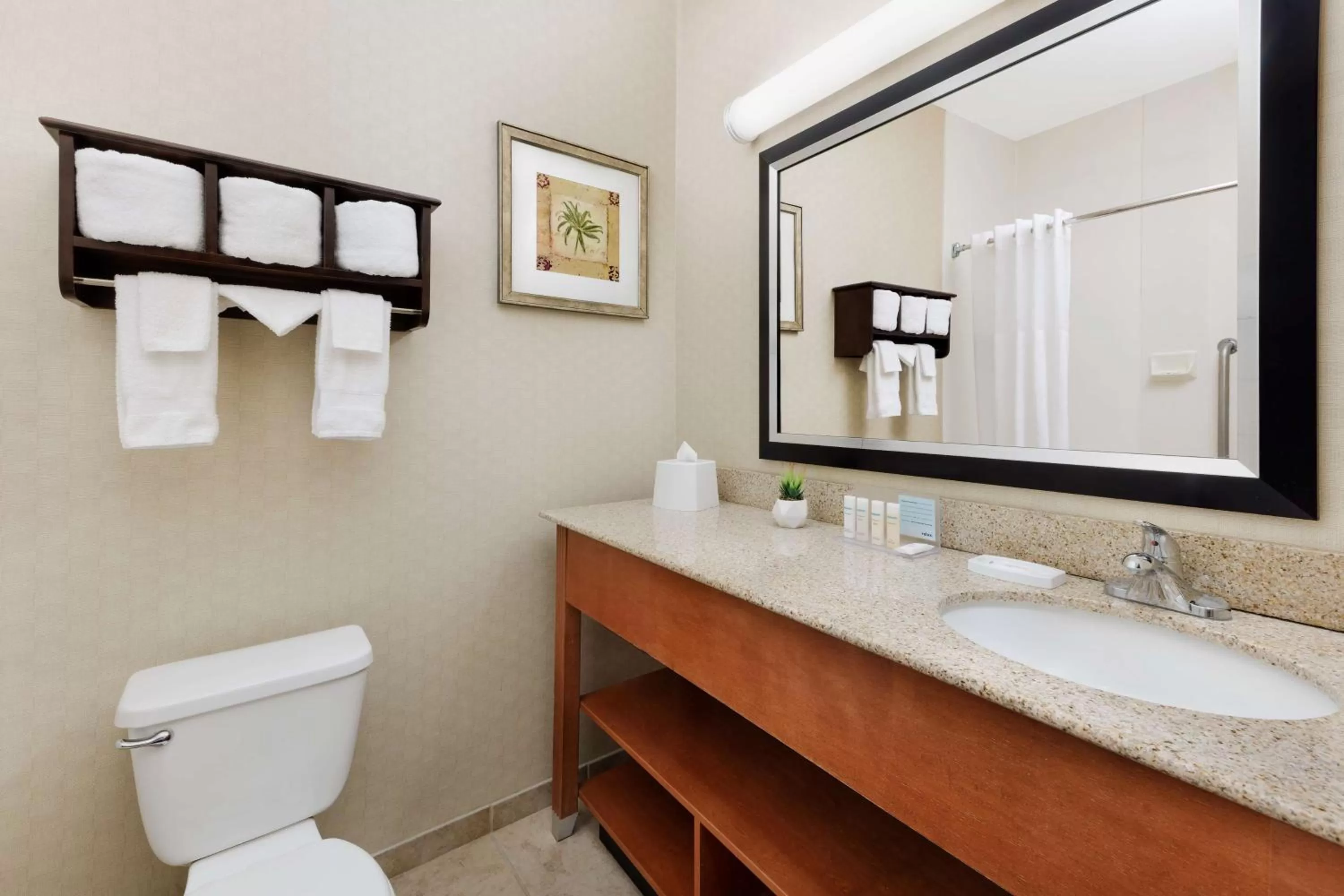 Bathroom in Hampton Inn Jackson