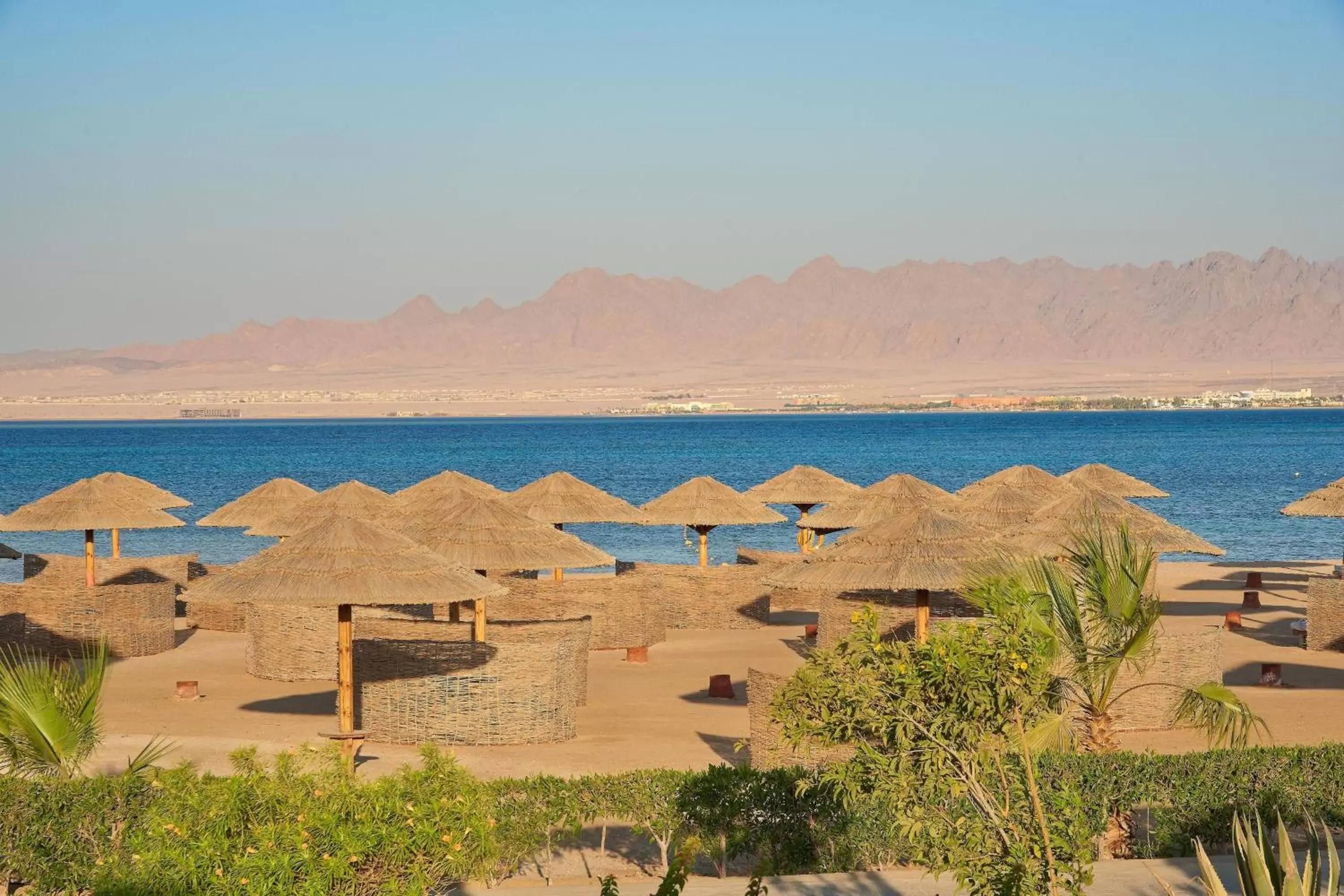 Photo of the whole room in Sheraton Soma Bay Resort