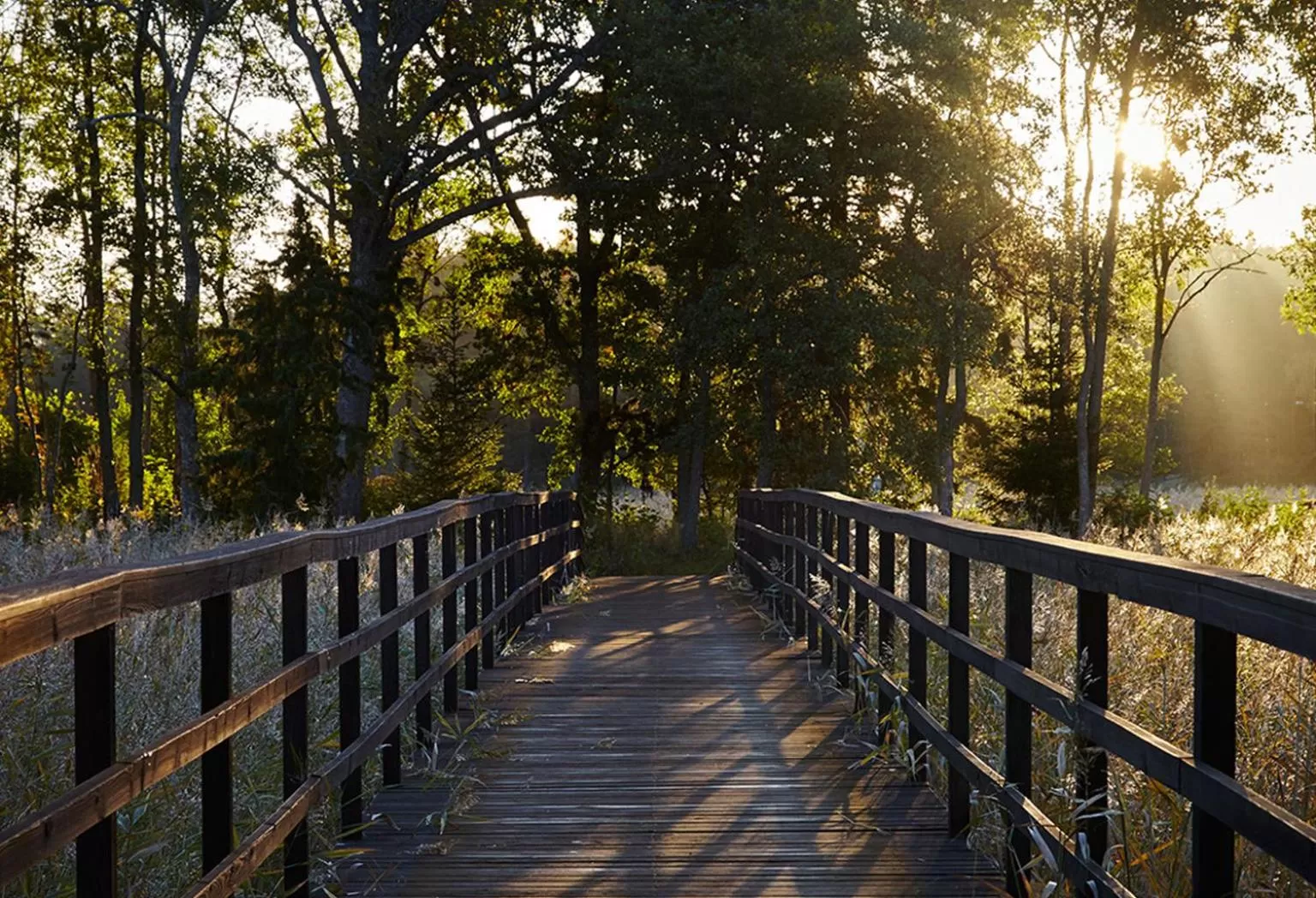 Natural landscape in Marholmen