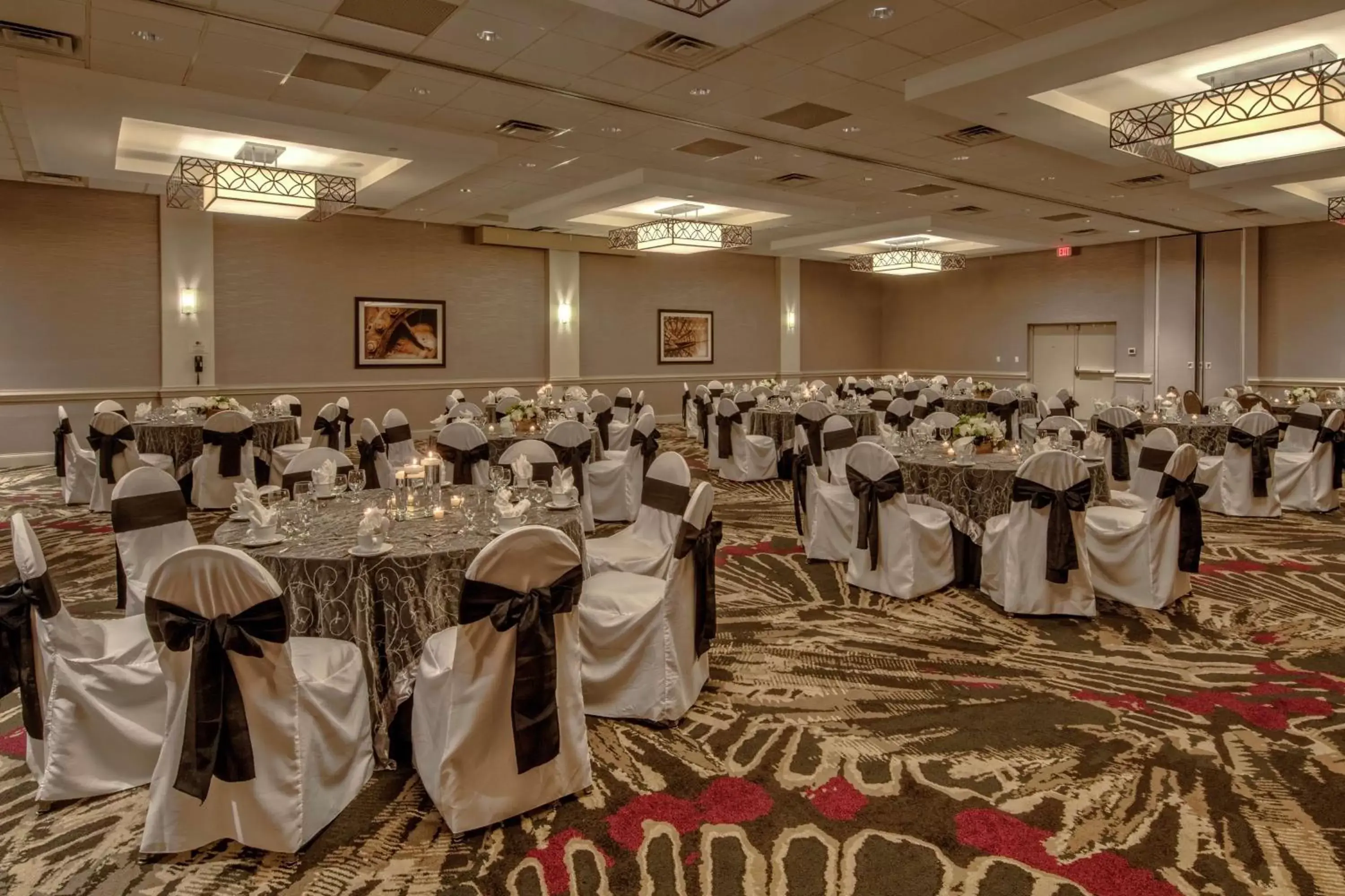 Meeting/conference room, Banquet Facilities in DoubleTree by Hilton Decatur Riverfront