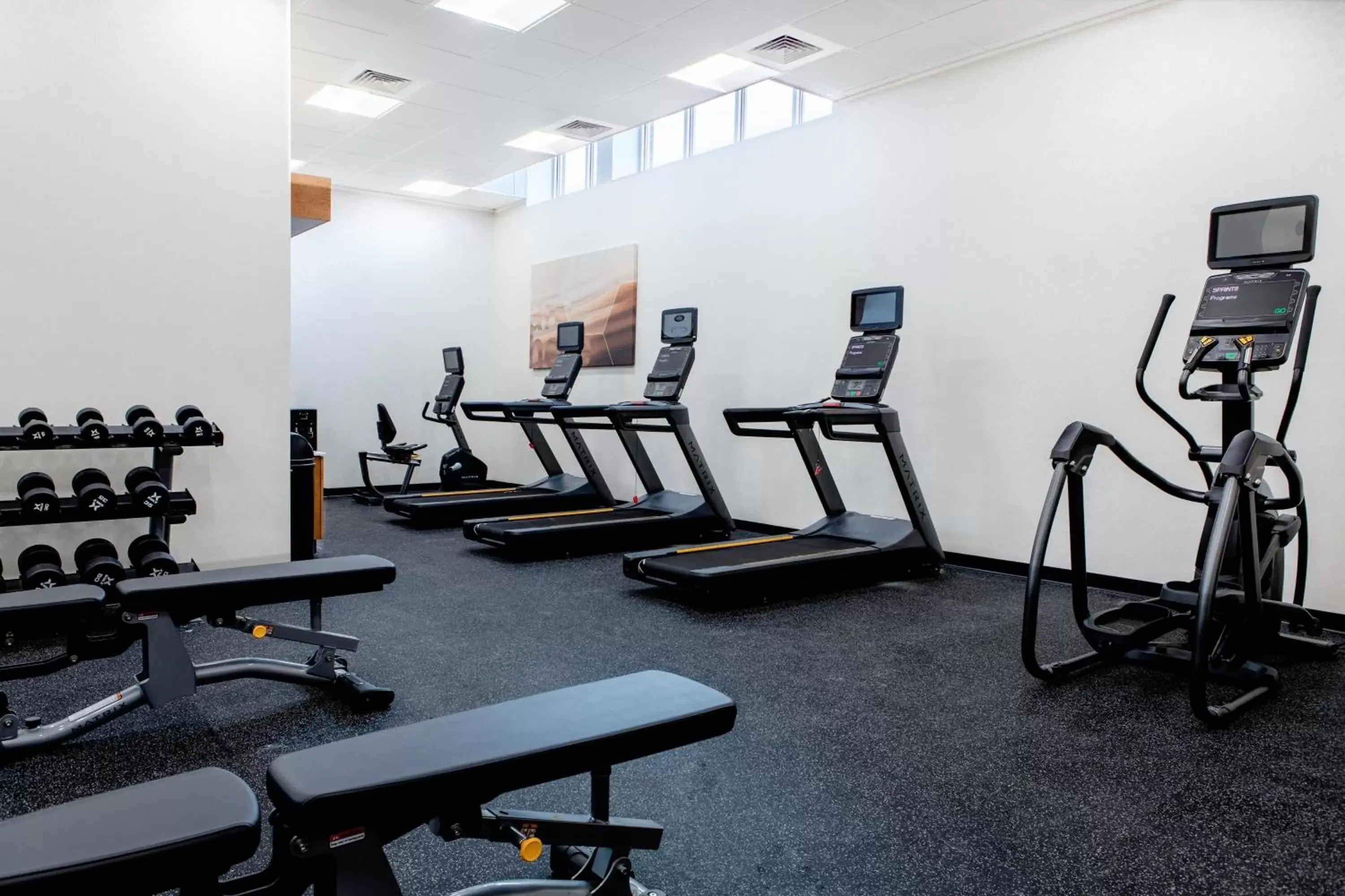 Fitness centre/facilities, Fitness Center/Facilities in SpringHill Suites by Marriott Chester