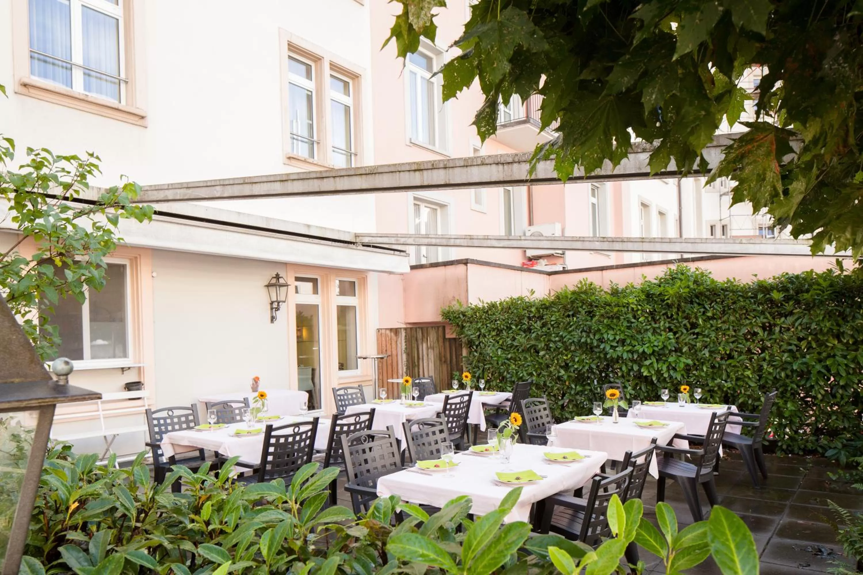 Balcony/Terrace in Hotel Ambassador