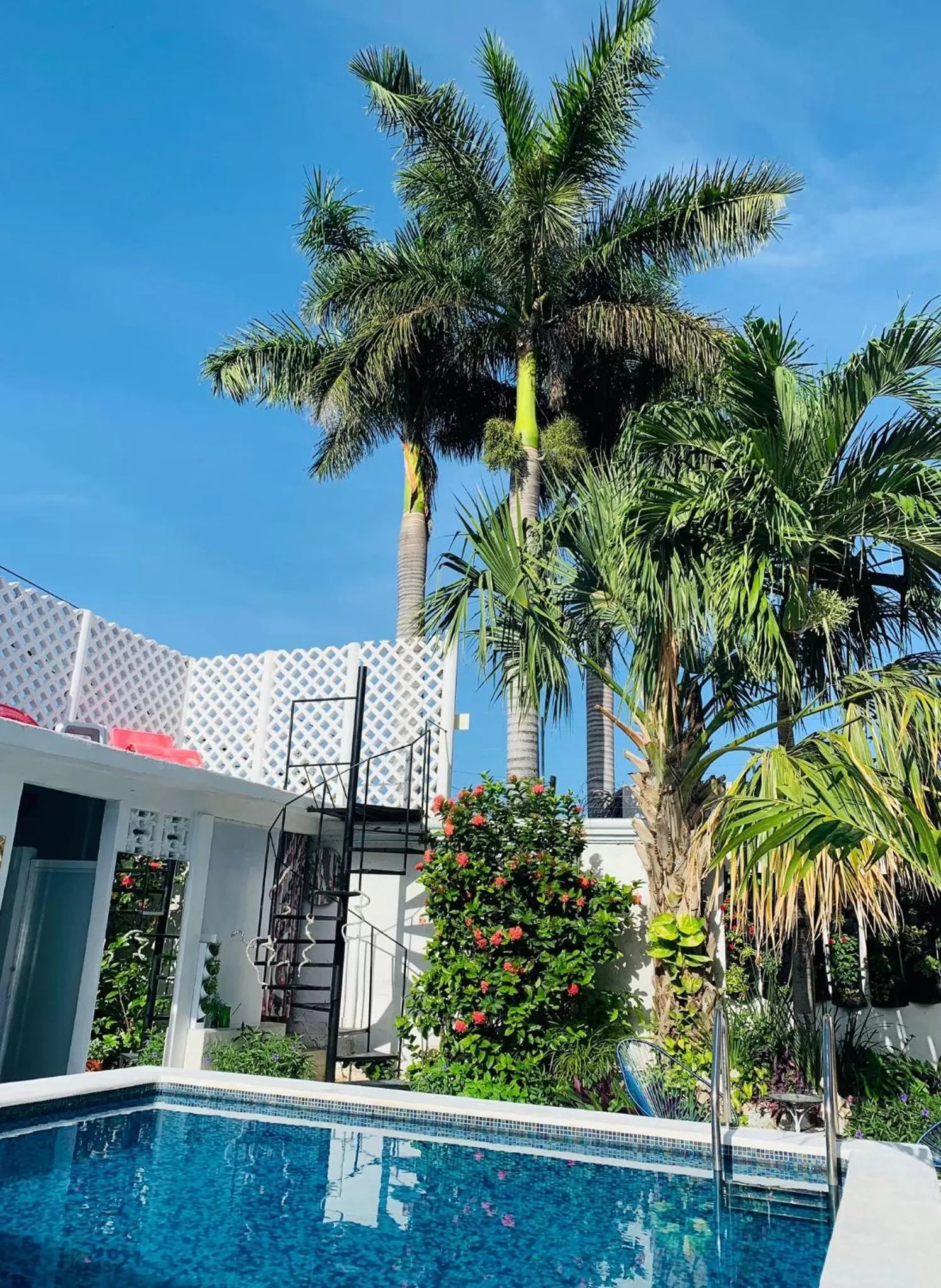 Swimming Pool in The Quetzal