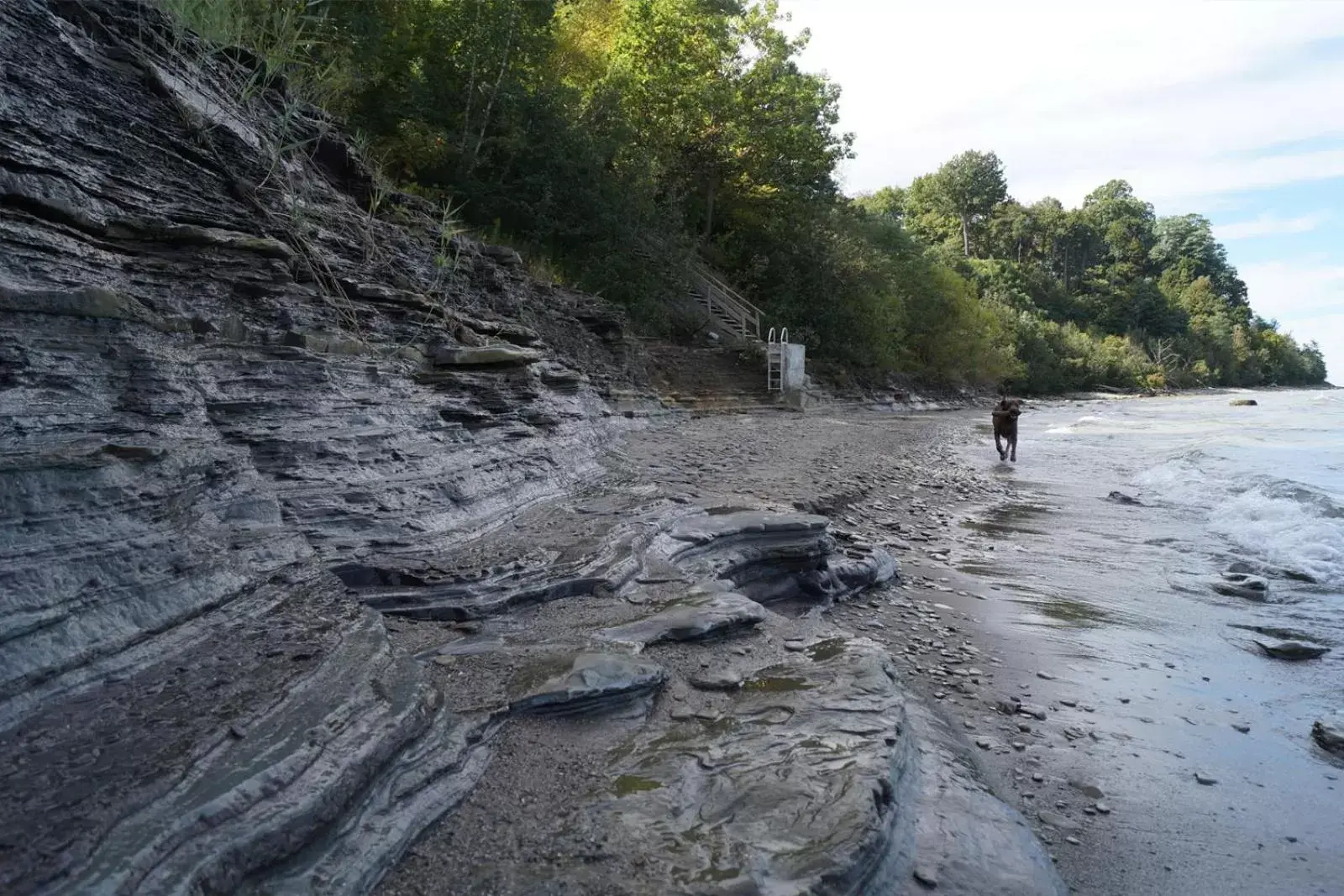 Lakeview on the Lake Lakeview on the Lake