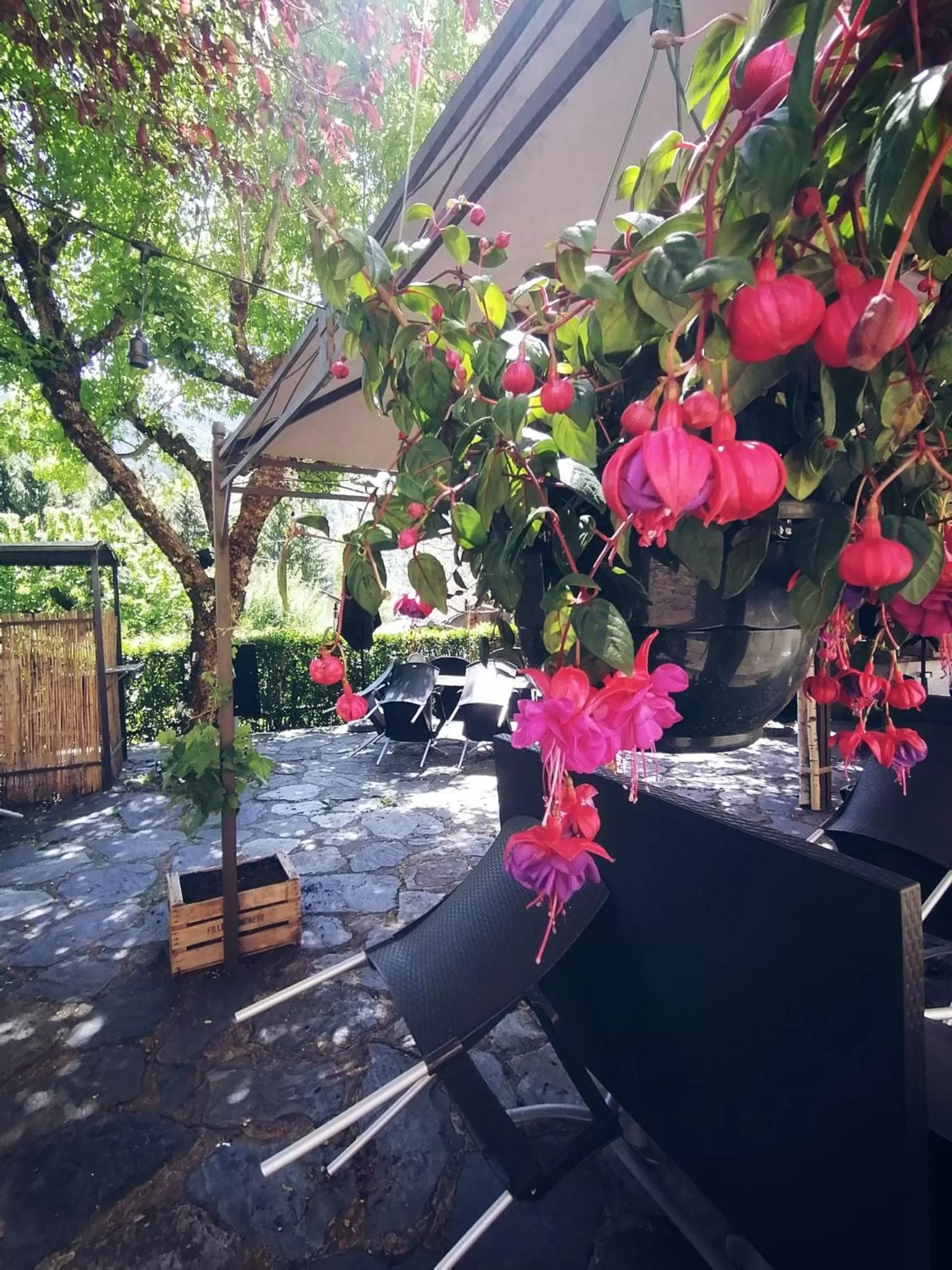 Patio in Hôtel Restaurant "La Petite Auberge"
