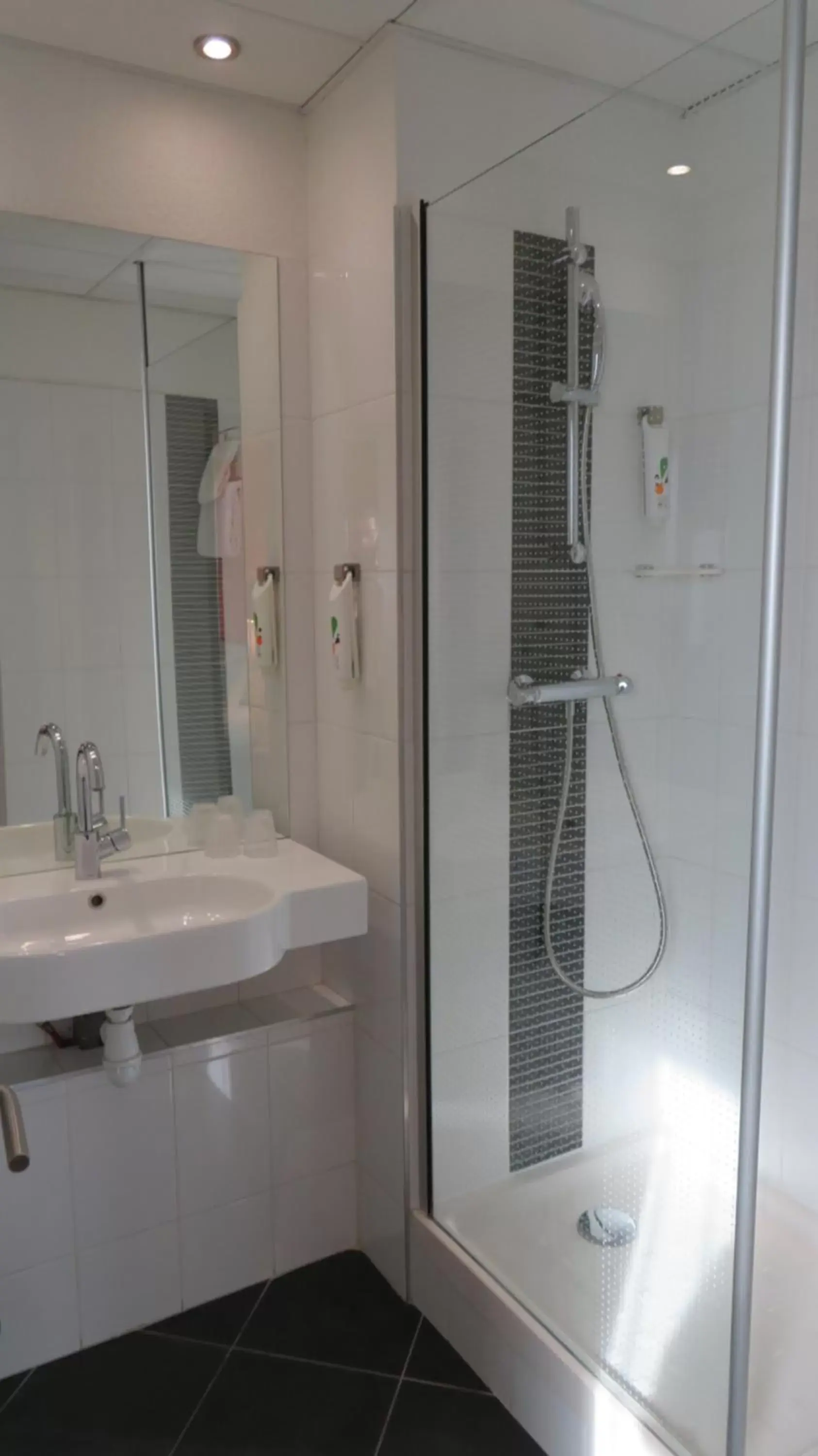 Bathroom in ibis Styles Bordeaux Centre Mériadeck