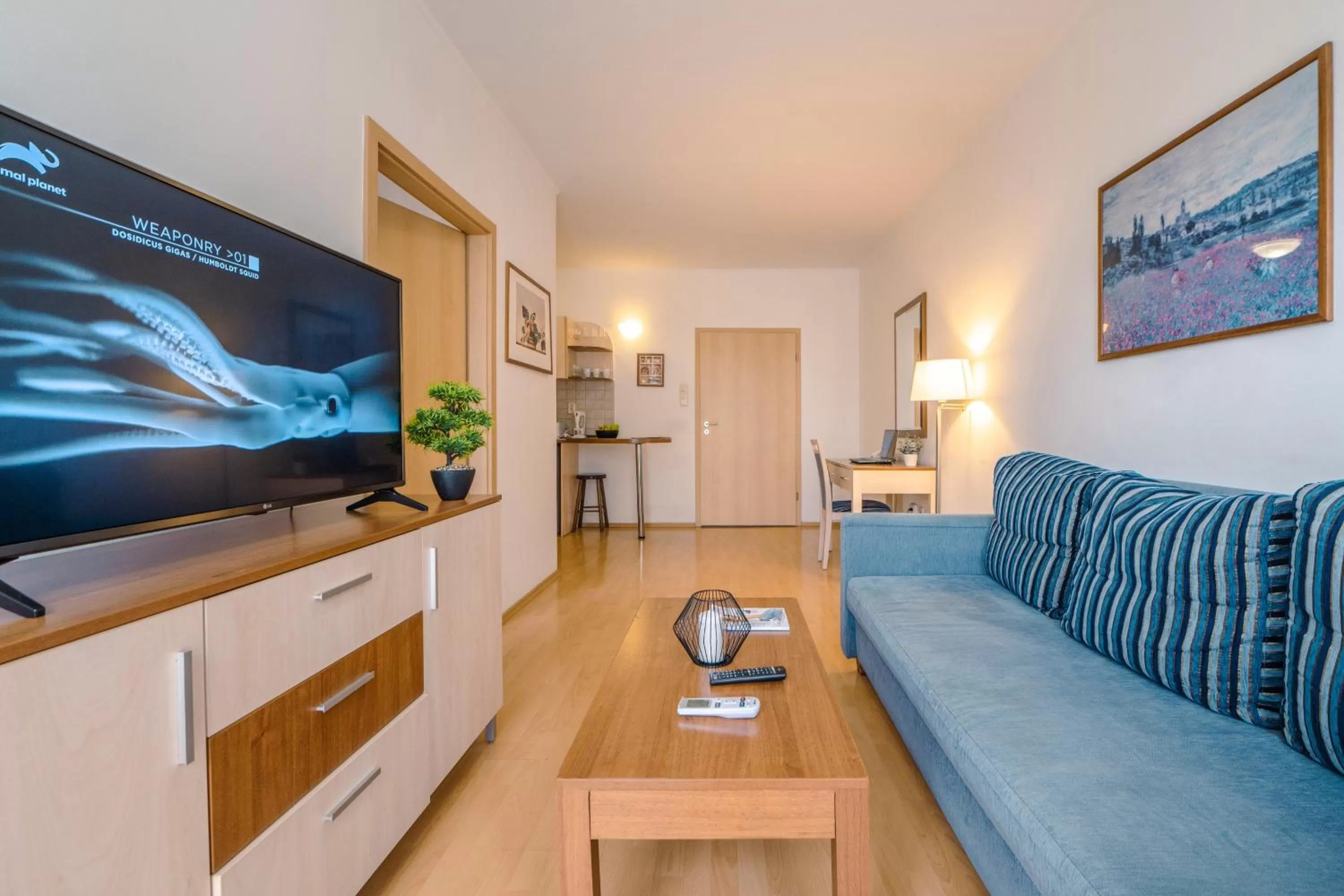 TV and multimedia in Premium Apartments