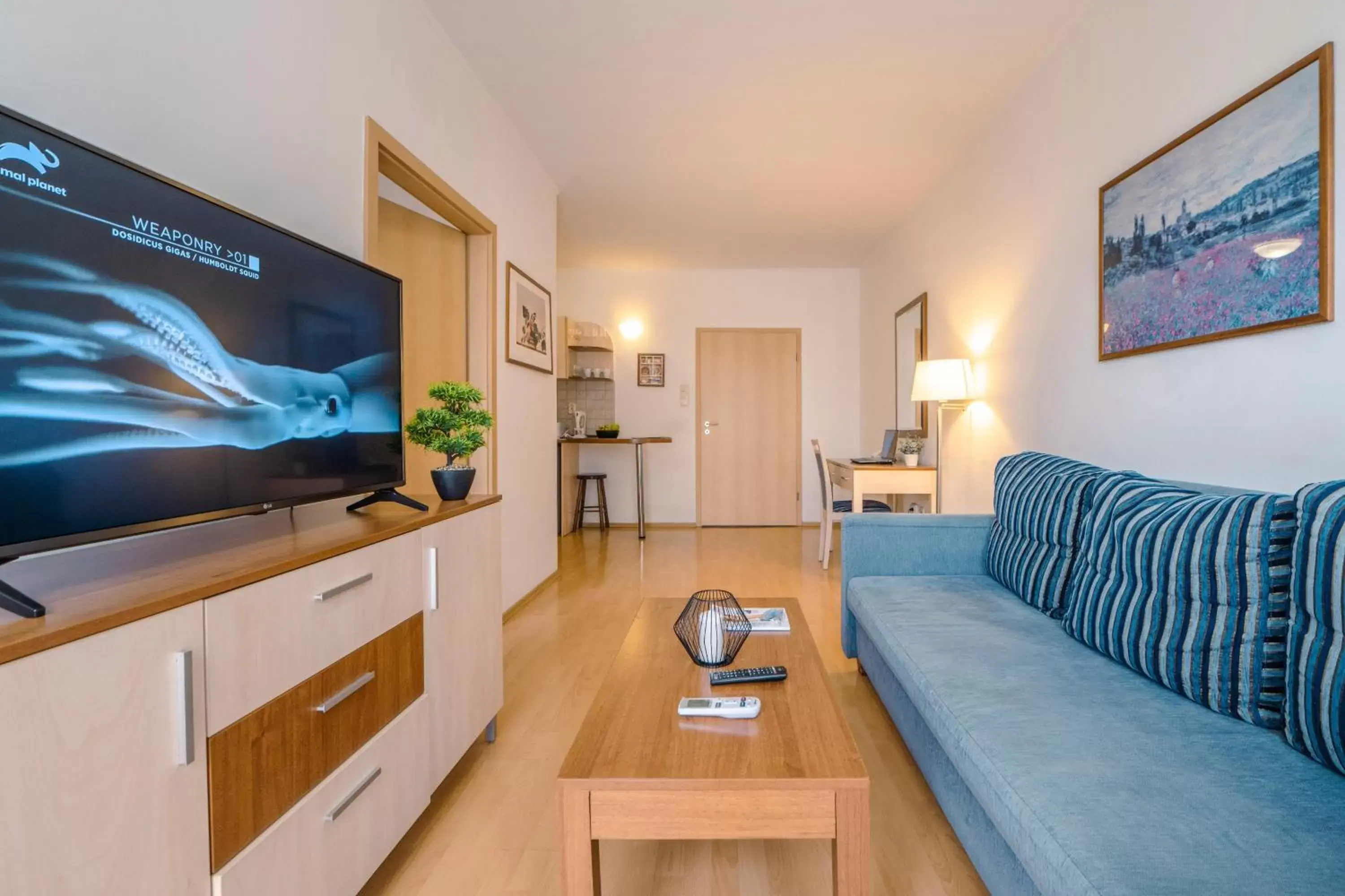 TV and multimedia, Seating Area in Premium Apartments