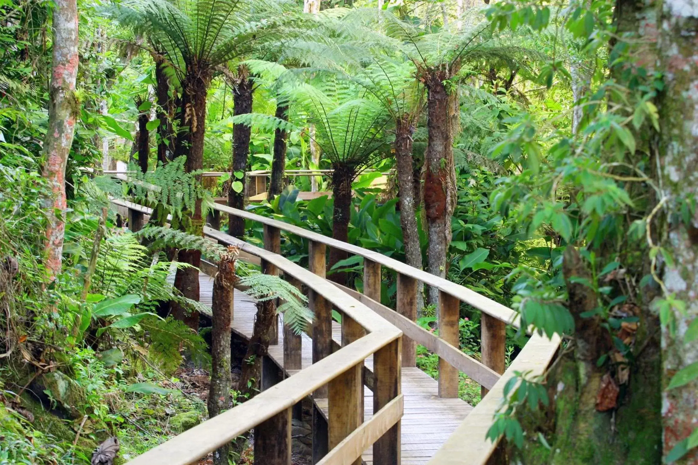 Natural landscape in Plaza Caldas da Imperatriz Resort & Spa