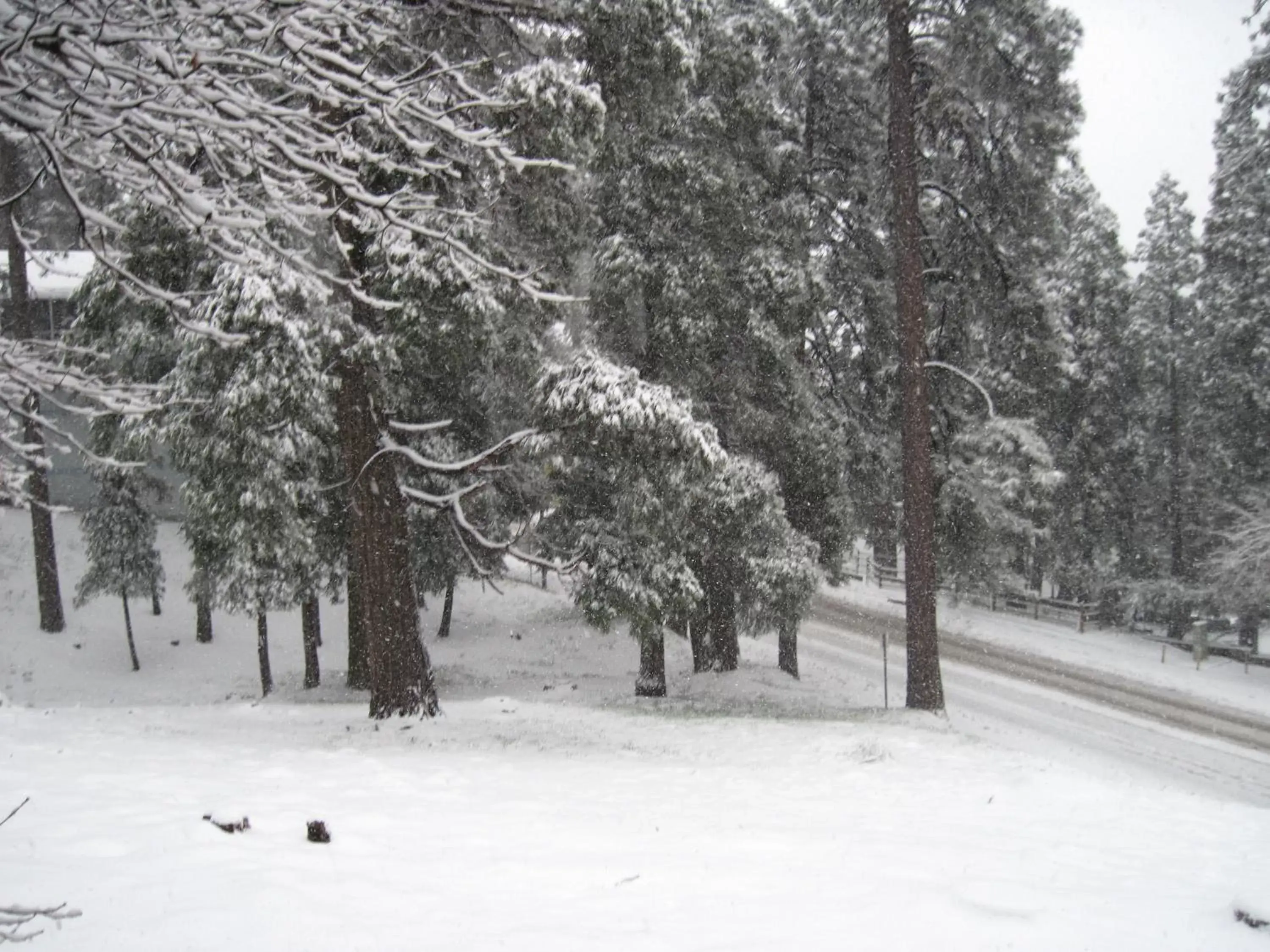 Day, Winter in The North Shore Inn