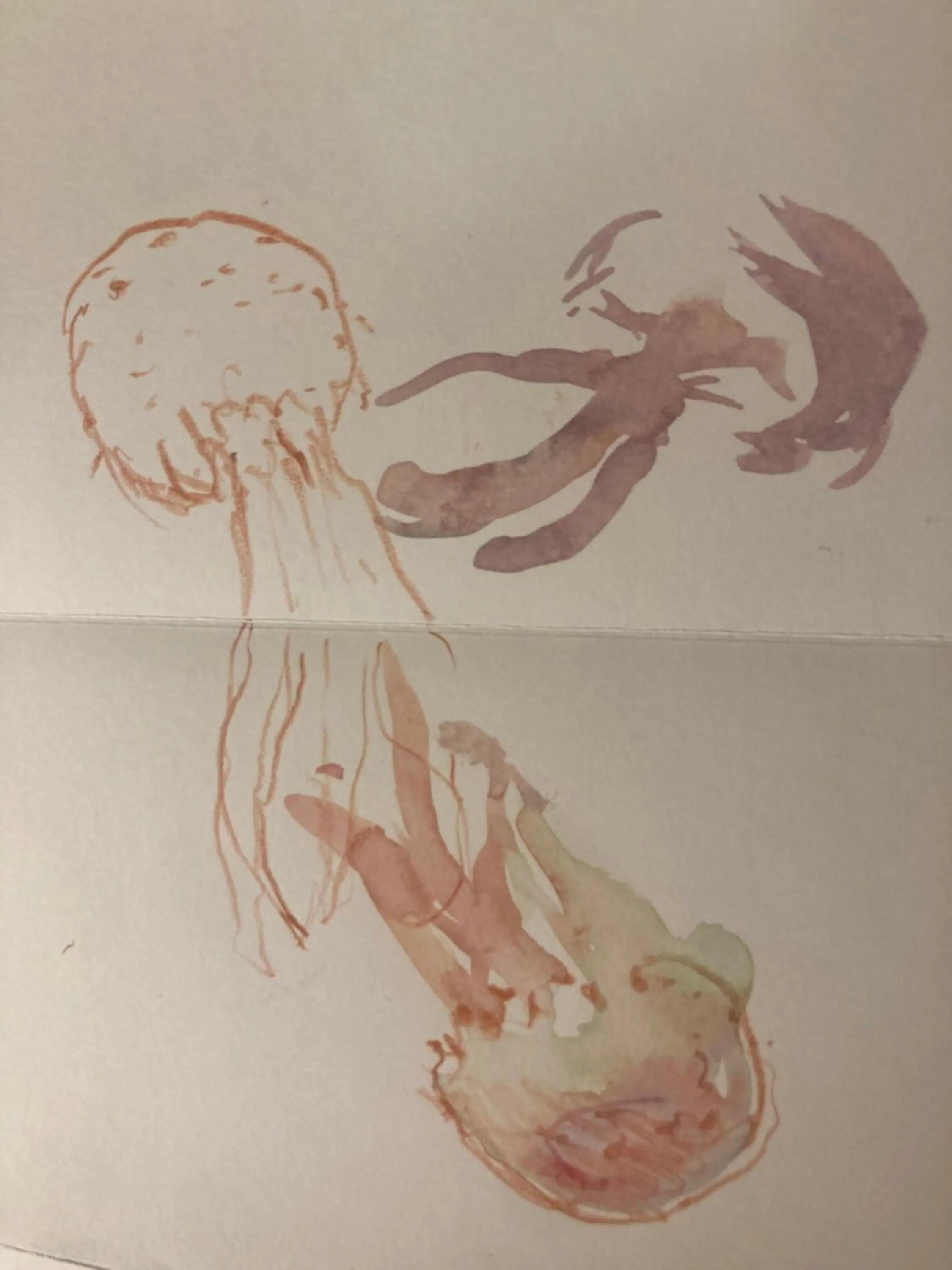 Logo/Certificate/Sign in Hotel Hevresac Singular & Small