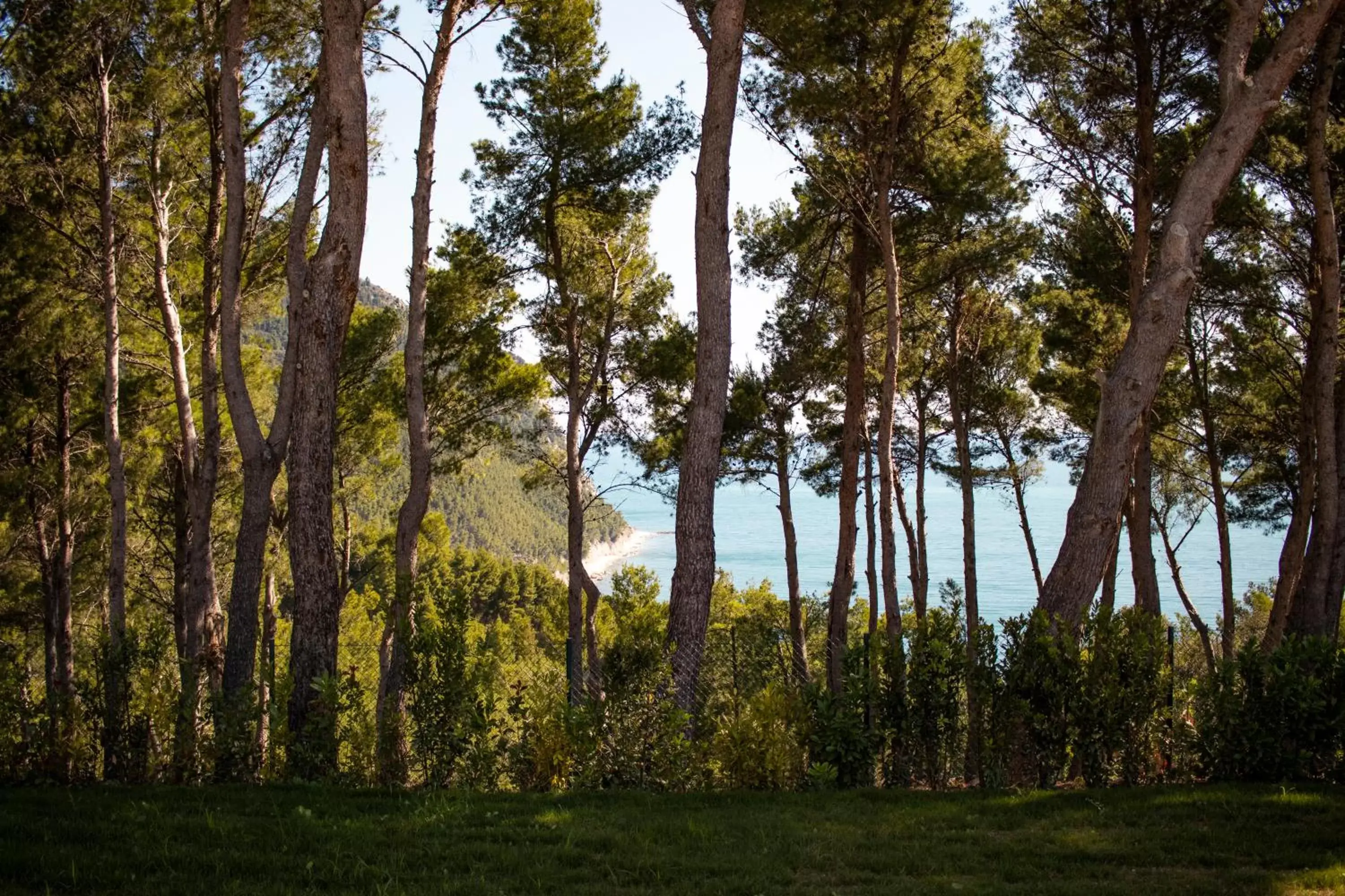Natural landscape in San Michele Relais & Spa