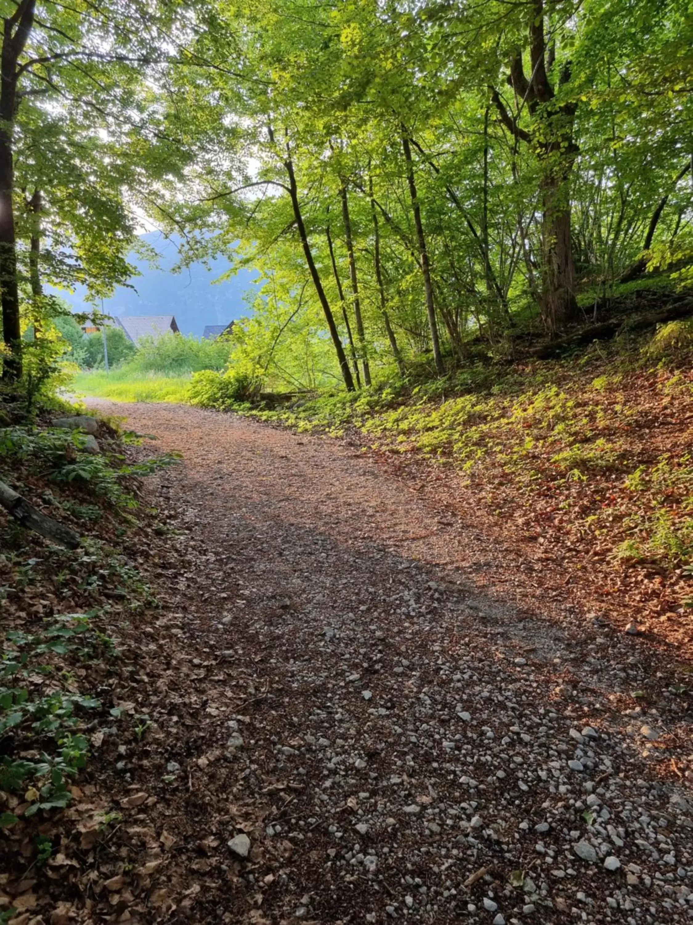 Natural landscape in Art Hotel Kristal