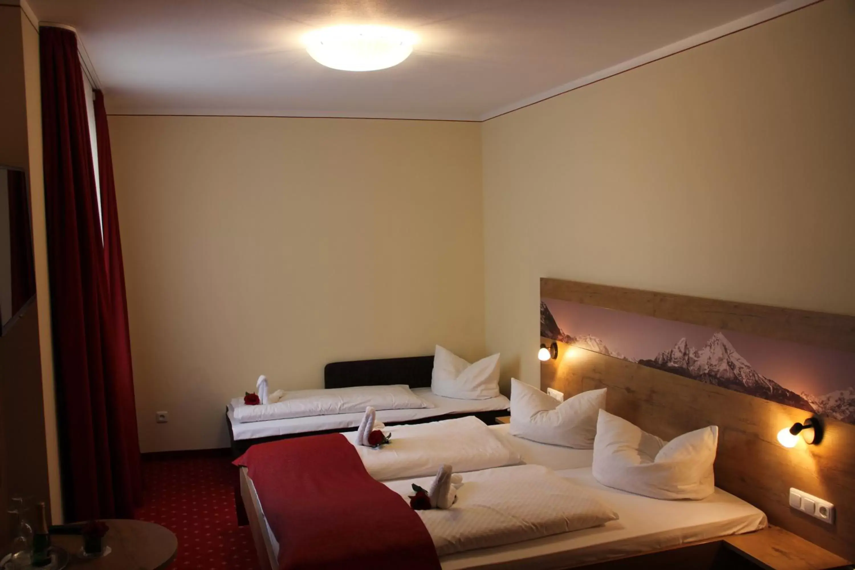 Double Room with Extra Bed in Hotel AlpinaRos