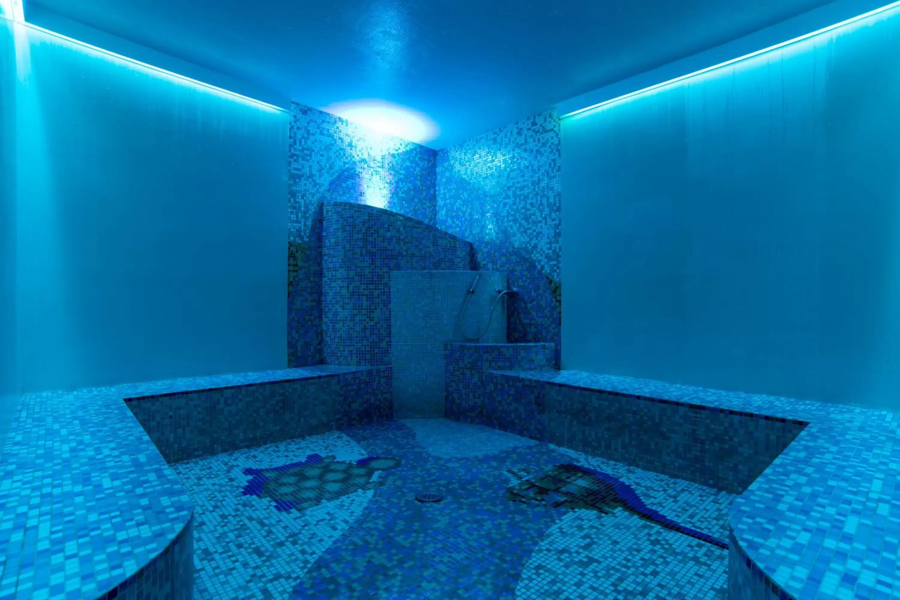 Steam room, Swimming Pool in Hi Hotel Bari