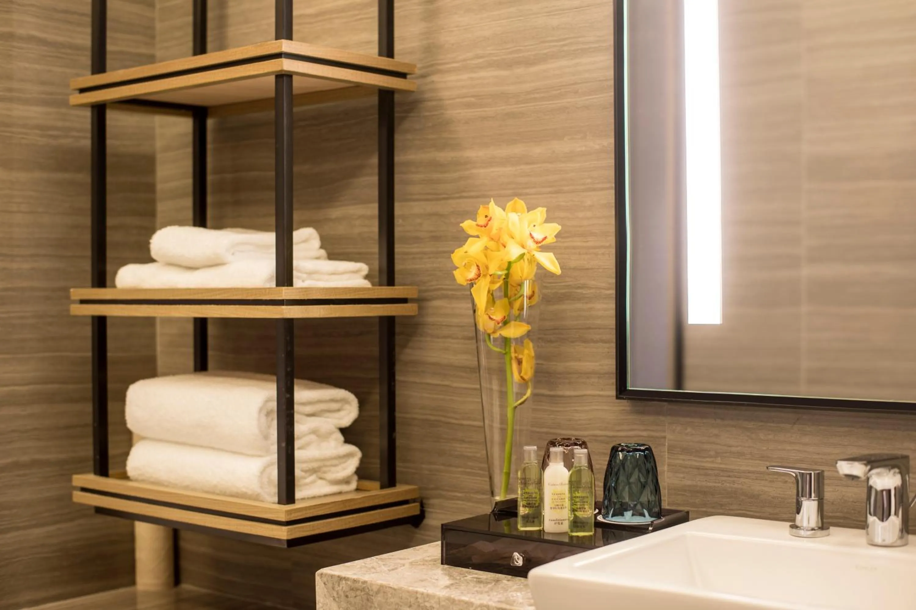 Decorative detail, Bathroom in DoubleTree By Hilton Shenzhen Longhua