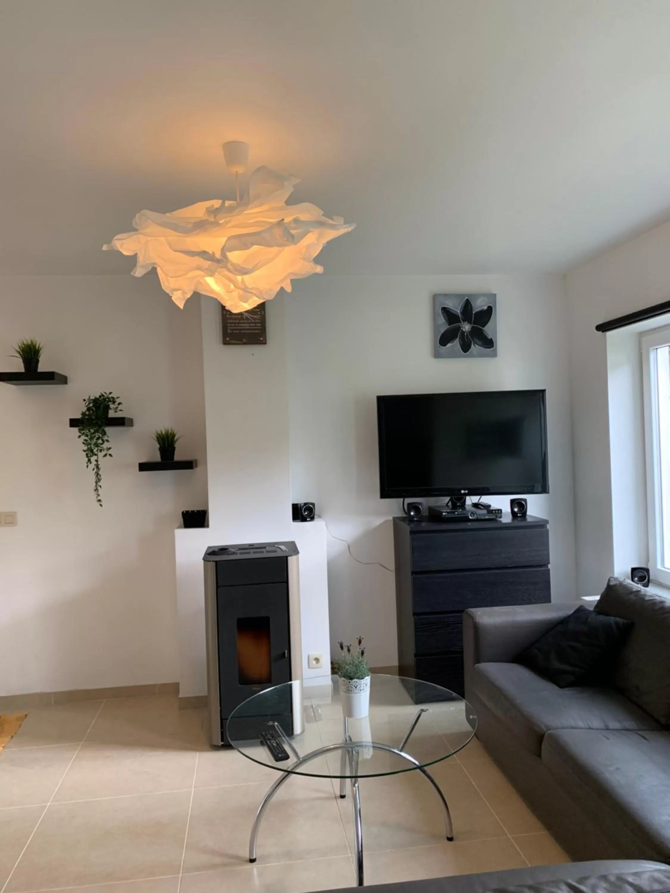 TV and multimedia in Carpe Diem