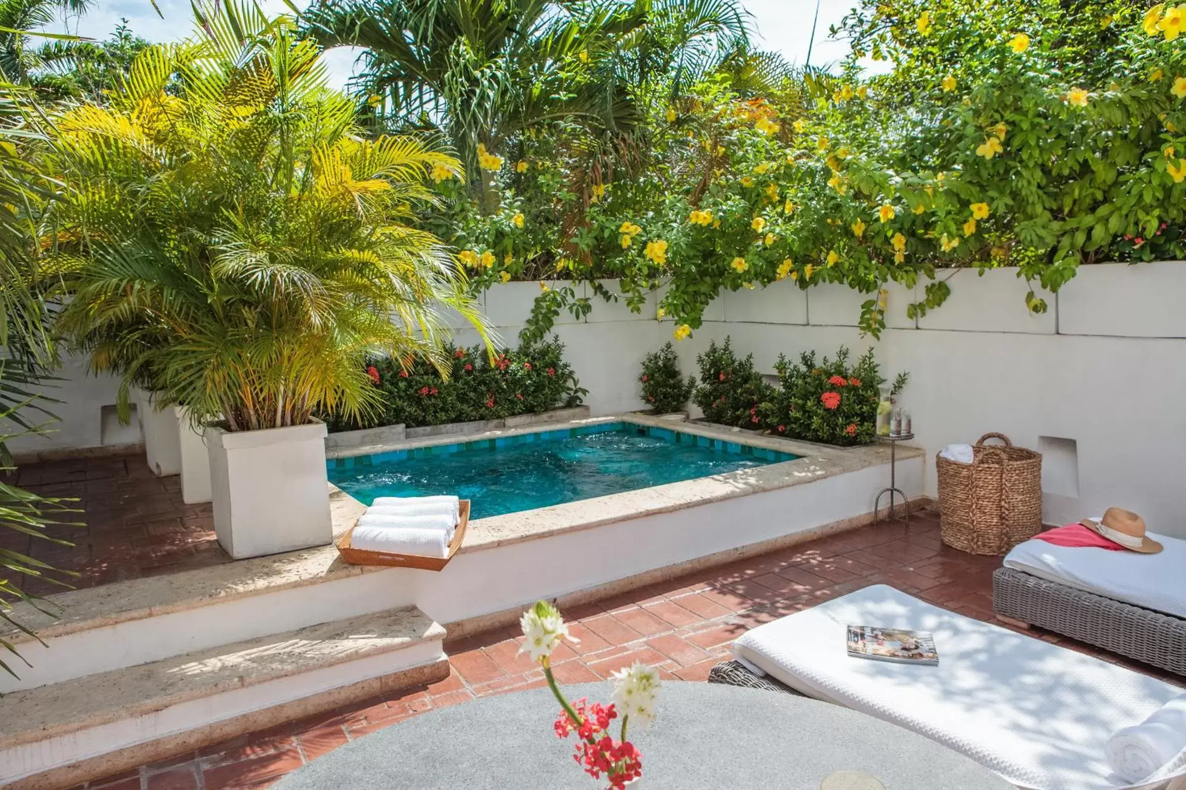 Garden, Swimming Pool in Hotel Casa San Agustin