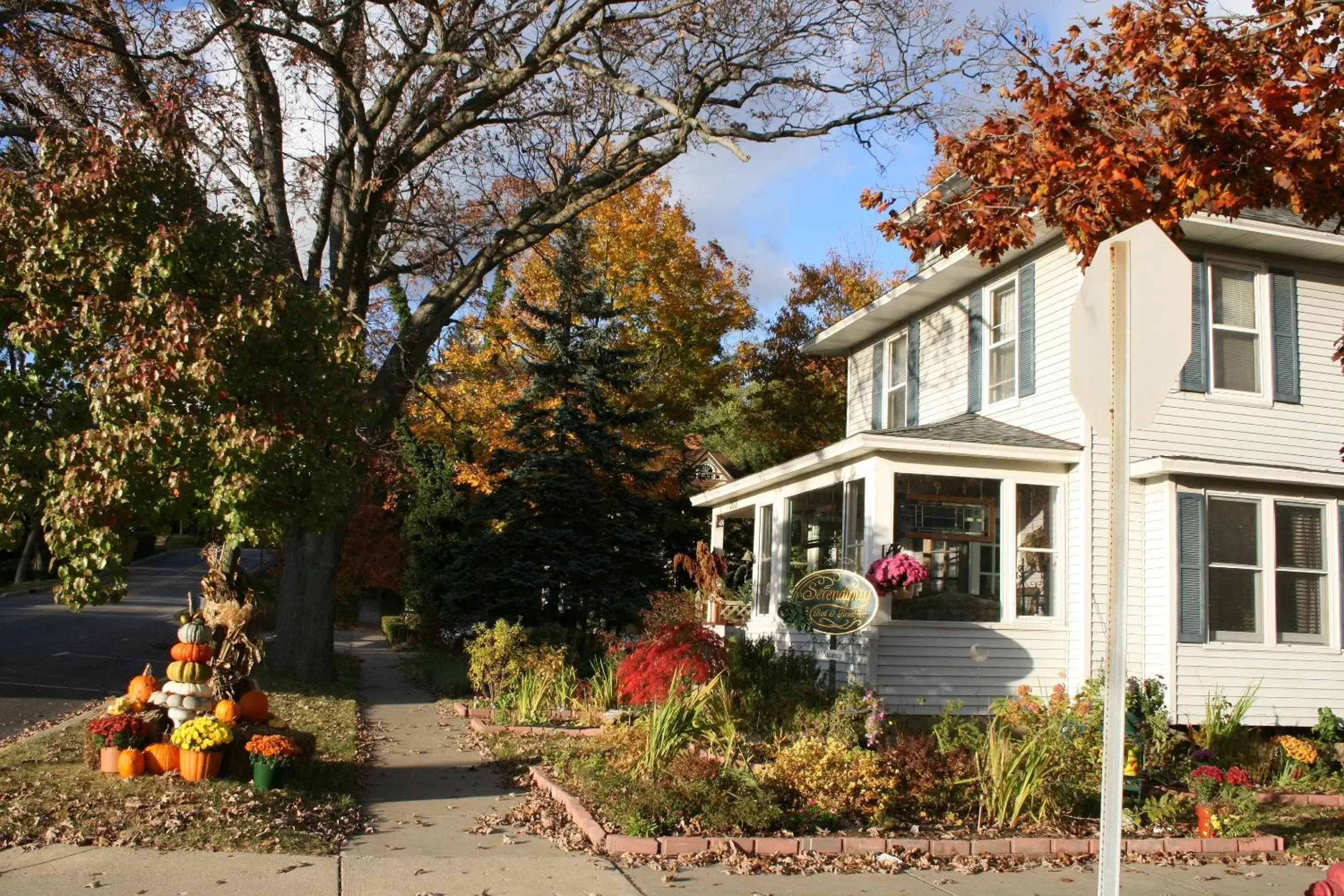 Property Building in Serendipity Bed and Breakfast