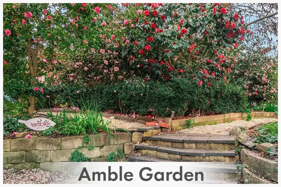 Garden in Amble at Hahndorf