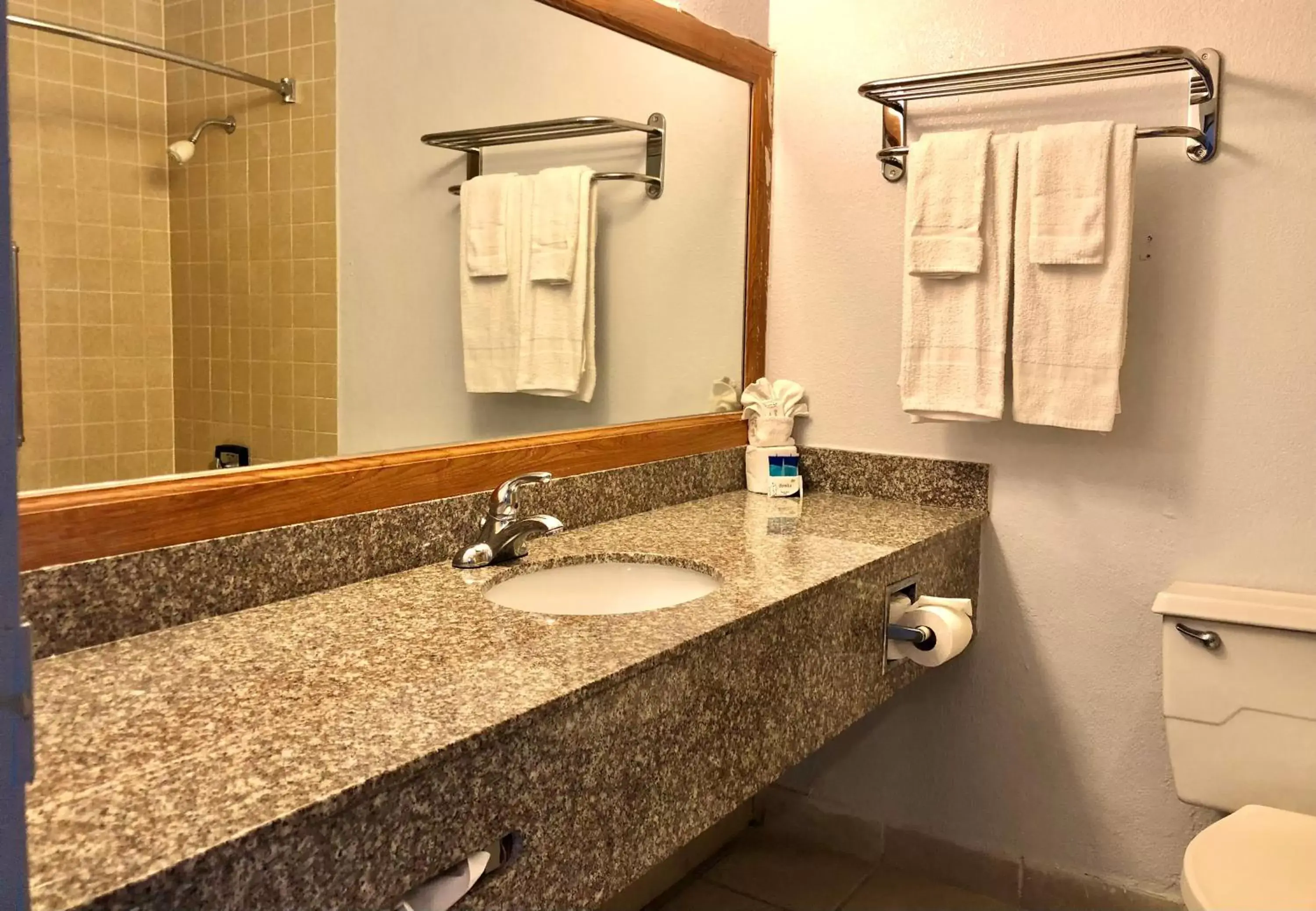 Bathroom in The Grand Hotel Spindletop