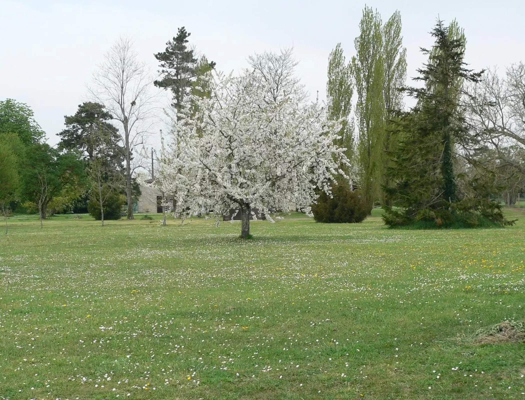 Spring in La Bribaudonnière