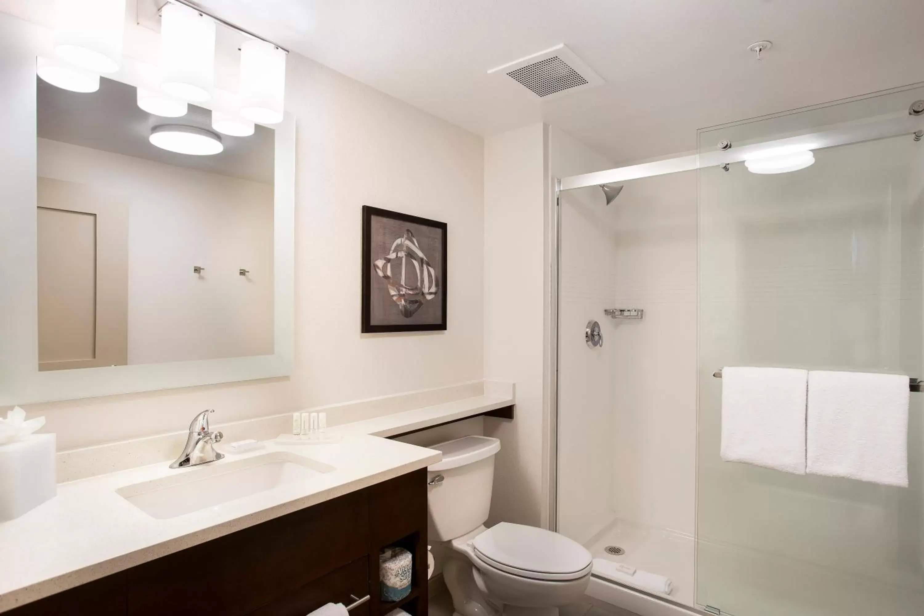 Bathroom in TownePlace Suites by Marriott San Mateo Foster City