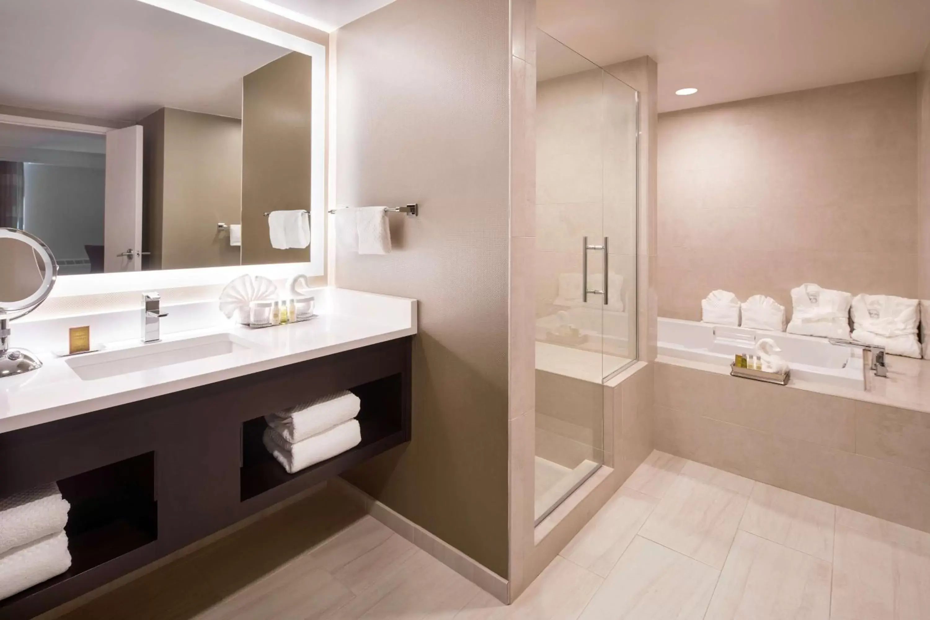 Bathroom in DoubleTree by Hilton Denver Tech