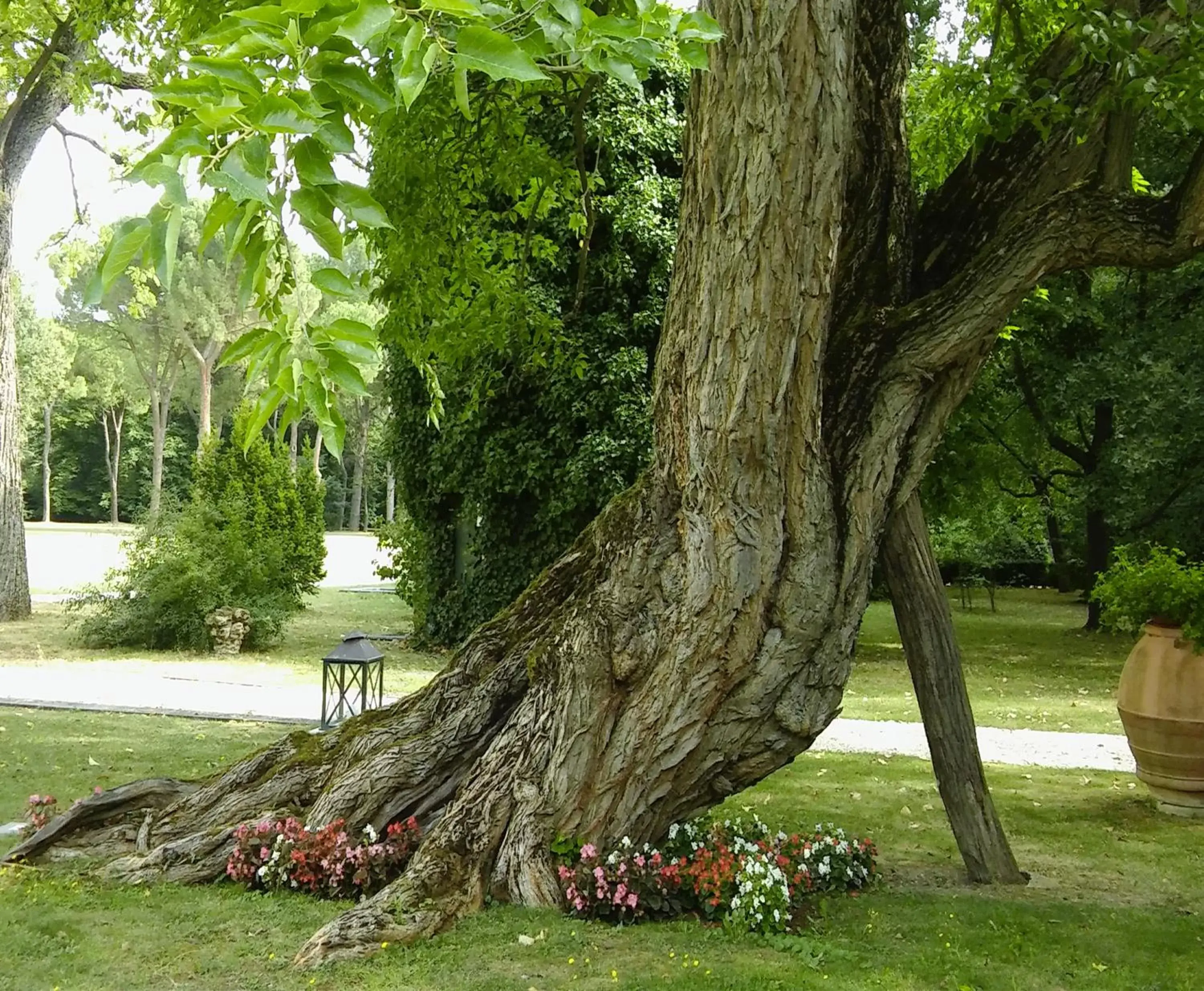 Day, Garden in Villa Abbondanzi Resort