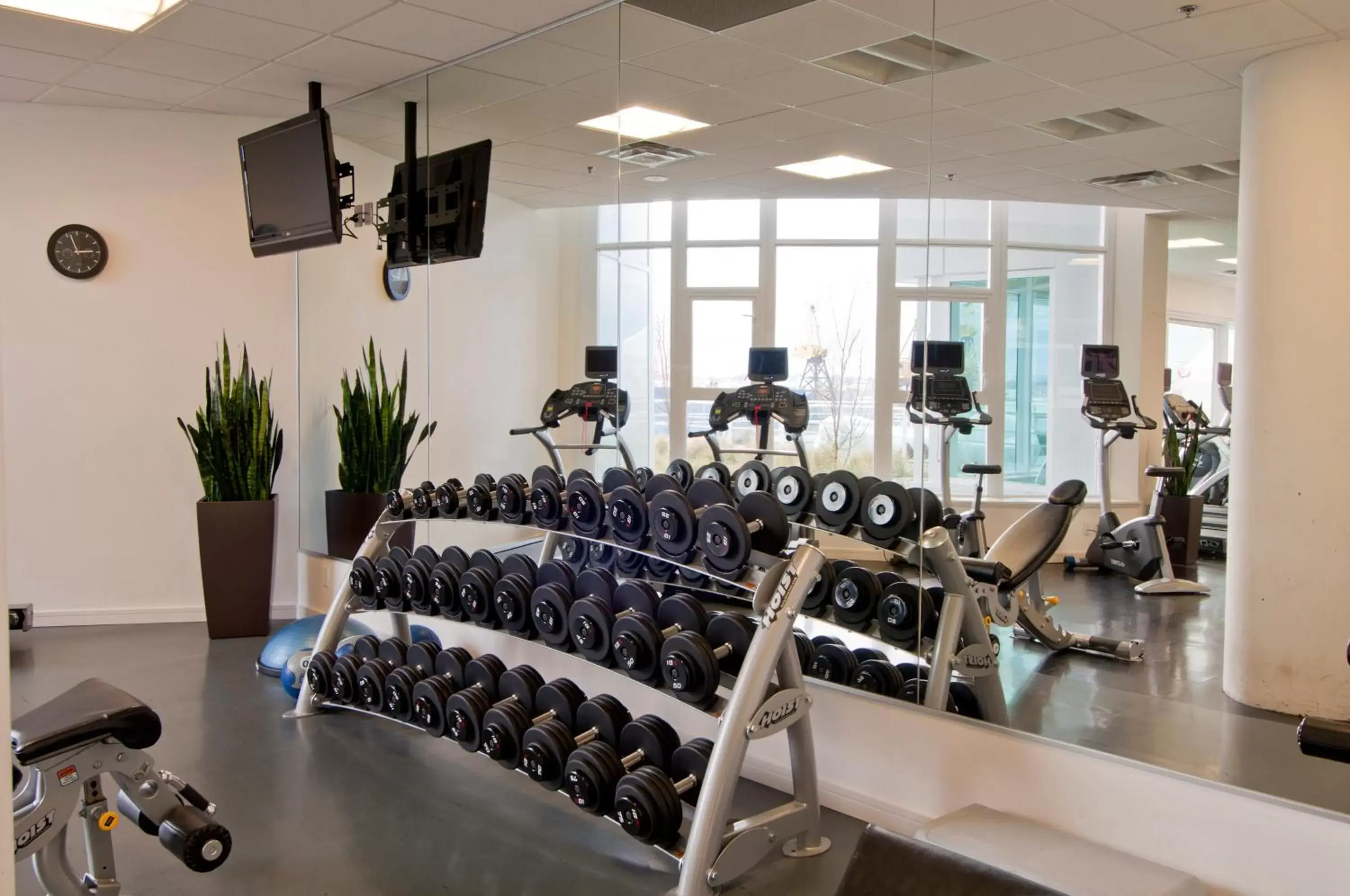 Fitness centre/facilities, Fitness Center/Facilities in Pinnacle Hotel at the Pier