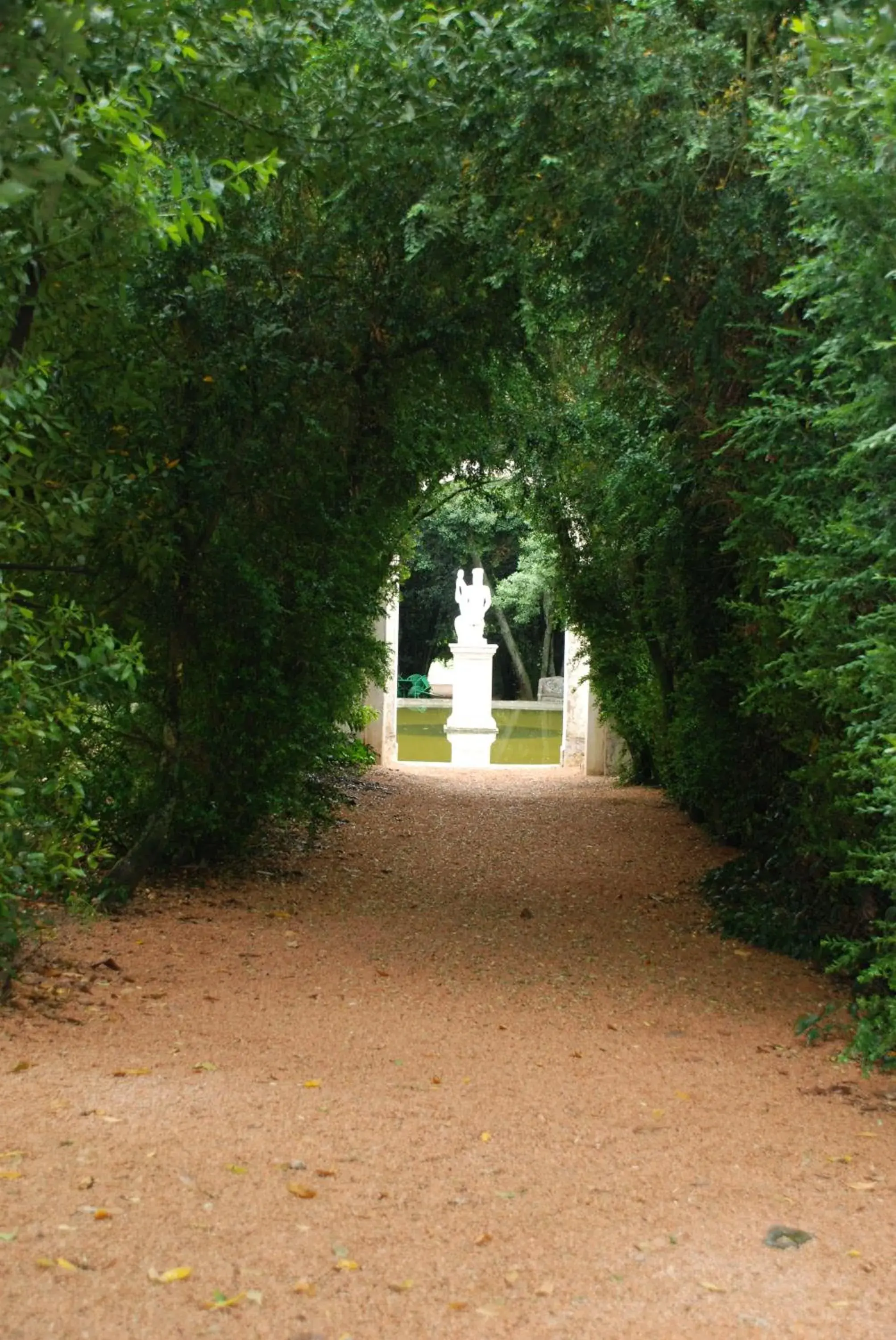 Garden in Hotel Rural Quinta de Santo Antonio