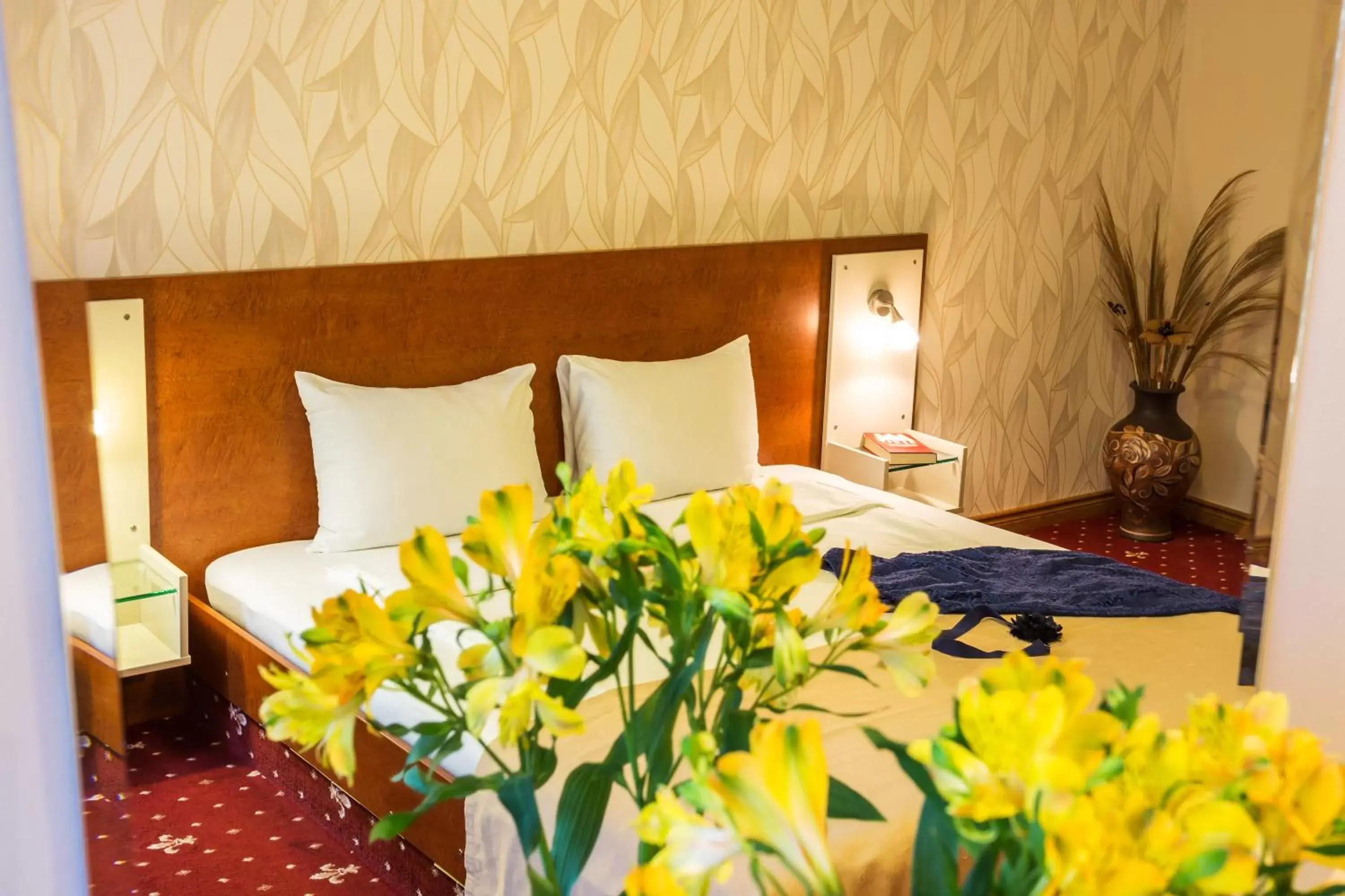 Double Room in Hotel Villa Boyana - Free Parking Double Room in Hotel Villa Boyana - Free Parking