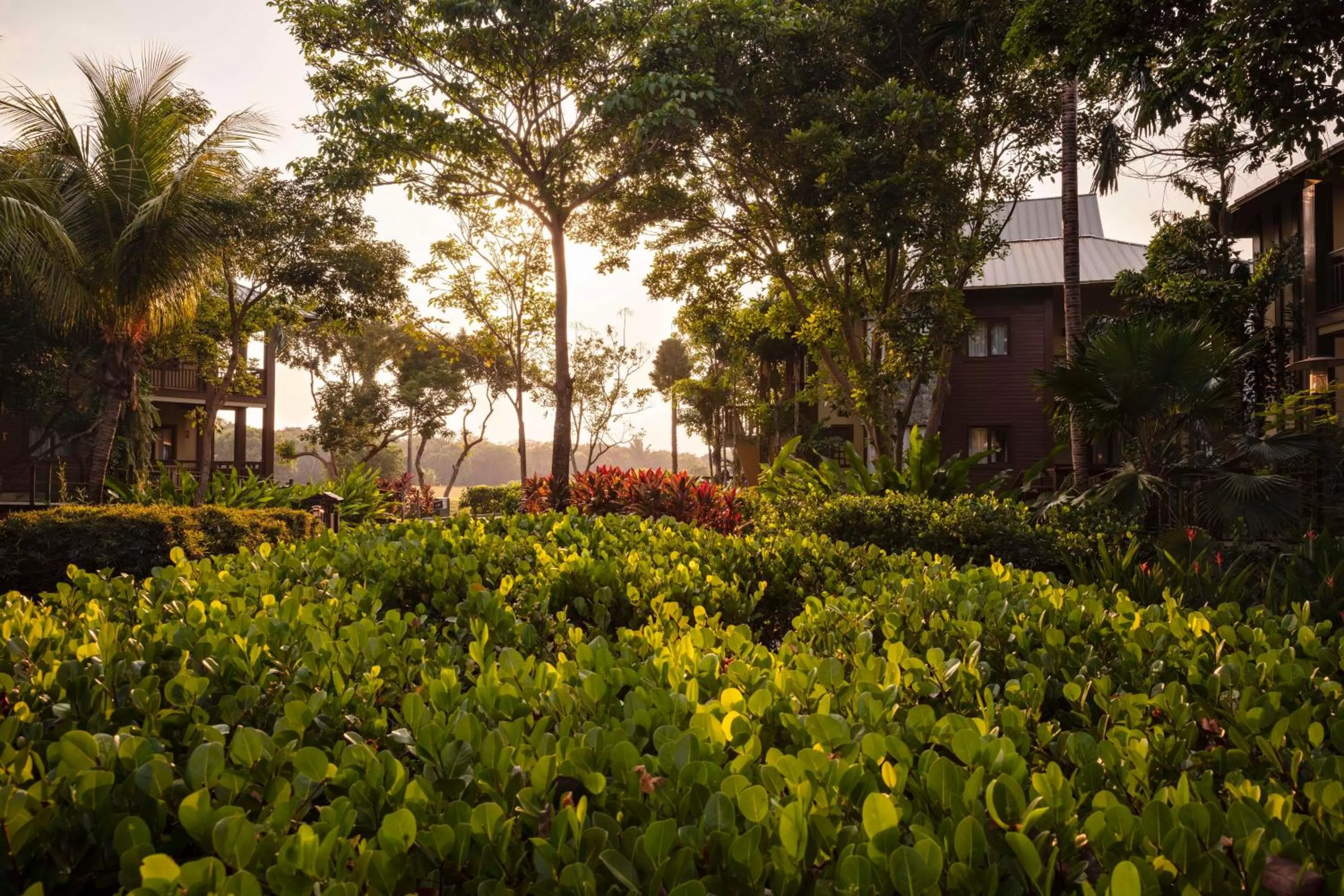 View (from property/room) in Indura Beach & Golf Resort Curio Collection By Hilton