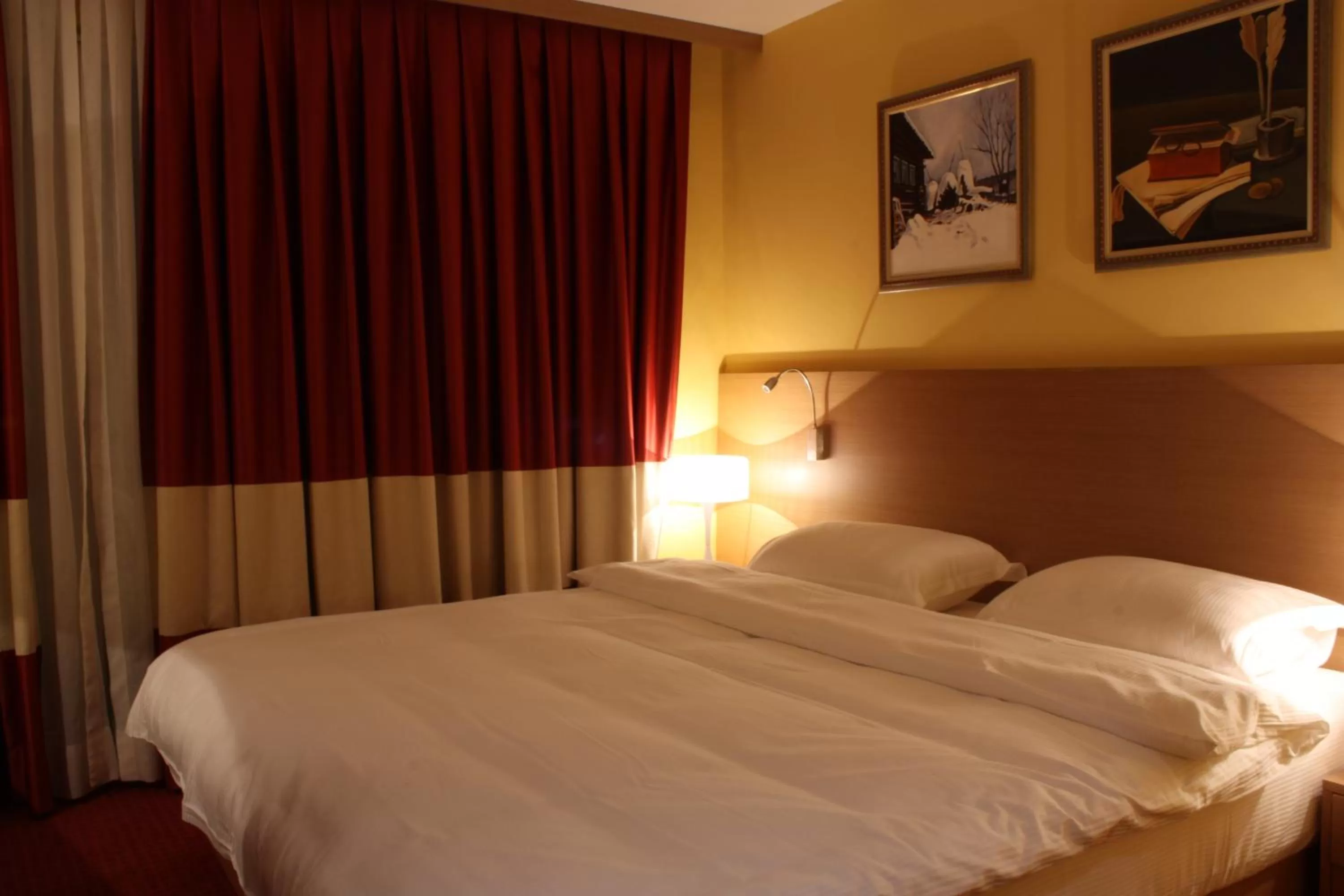 Double Room in Hotel Colosseo & Spa