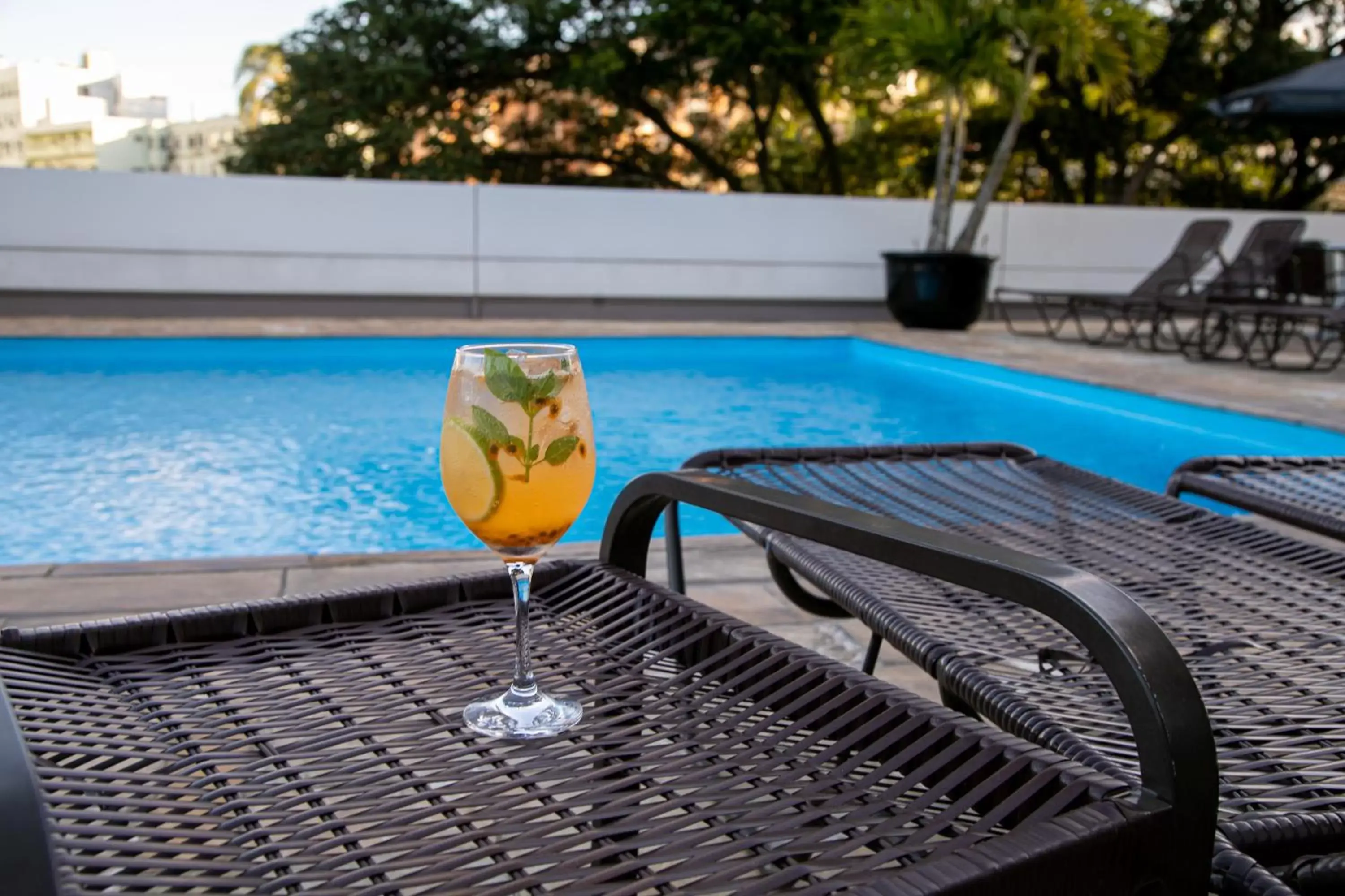 Lounge or bar in Plaza Blumenau Hotel Lounge or bar in Plaza Blumenau Hotel