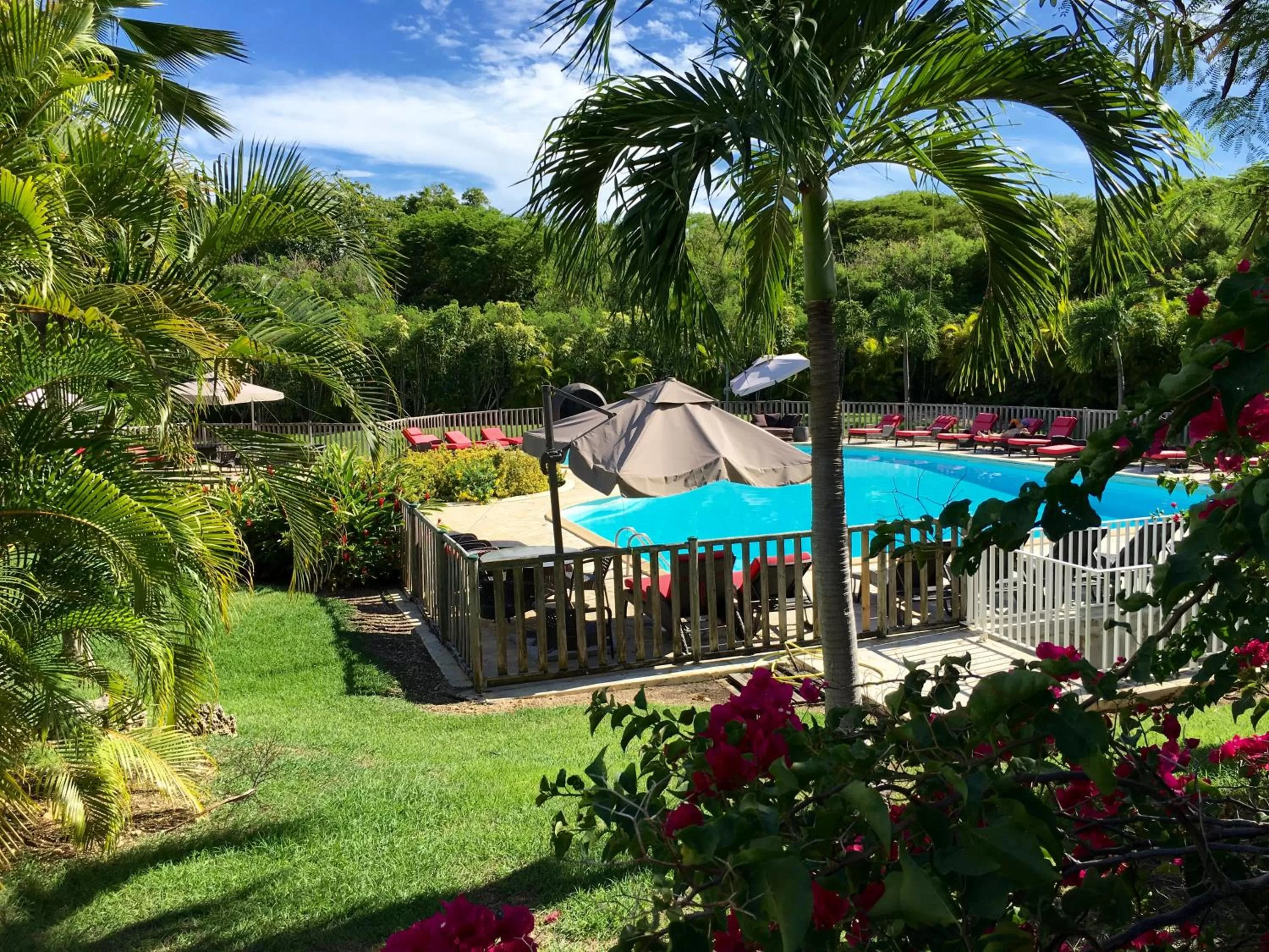 Pool view in Résidence Le Vallon Guadeloupe Parc Piscine Appartements & Studios