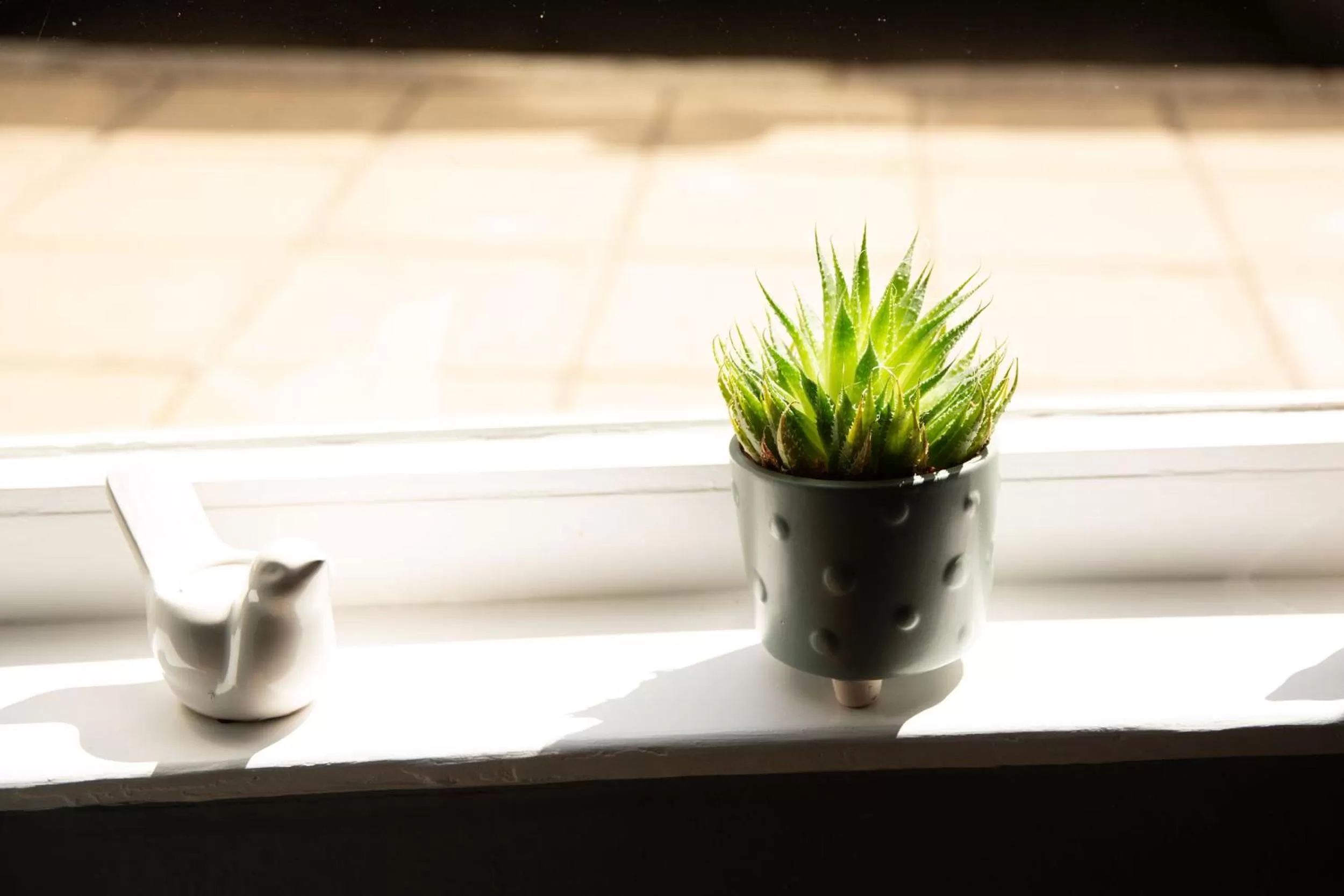 Restaurant/places to eat in Queens Head Hotel