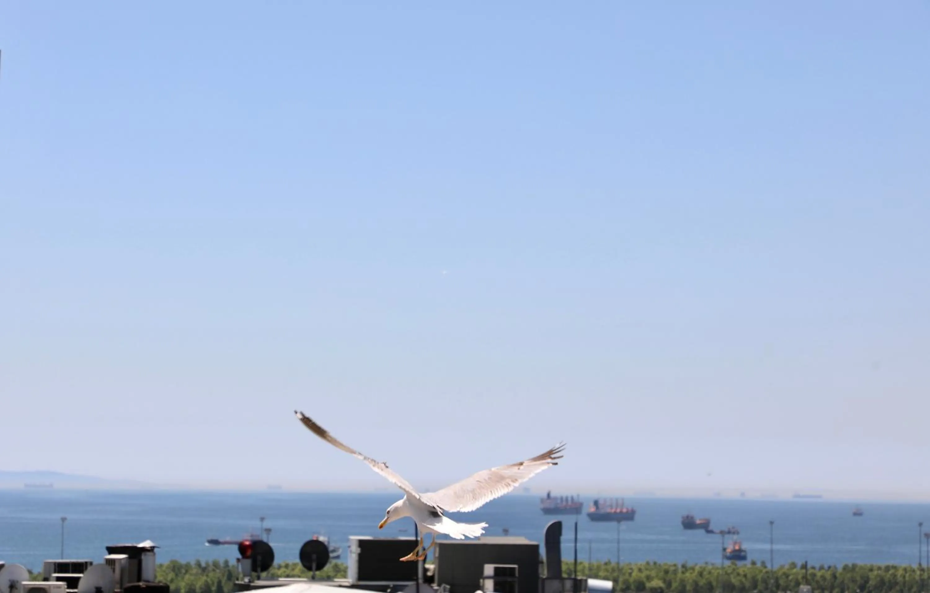 Day in Istanbul Royal Hotel