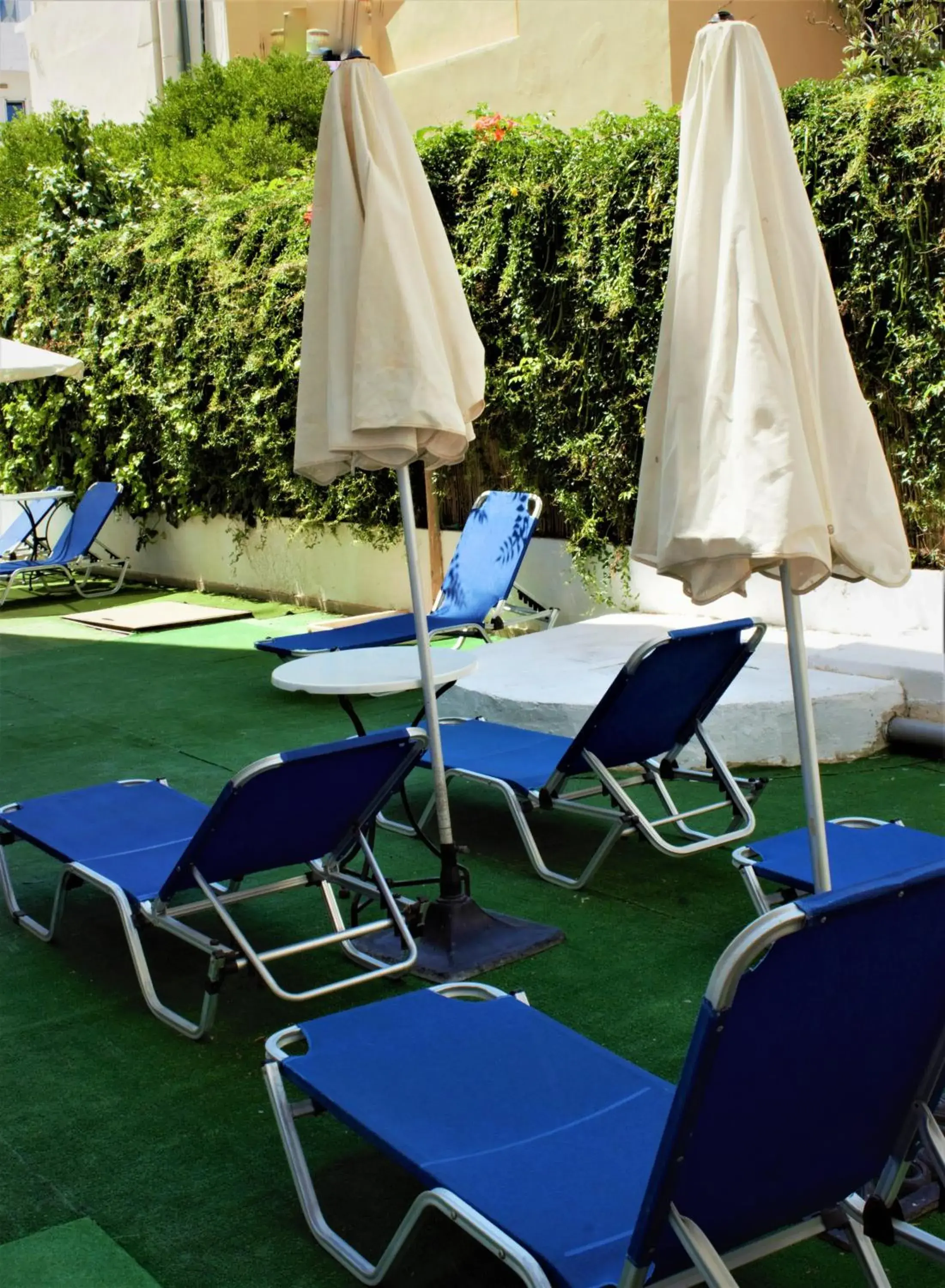 Swimming pool, Garden in Apollon Hotel