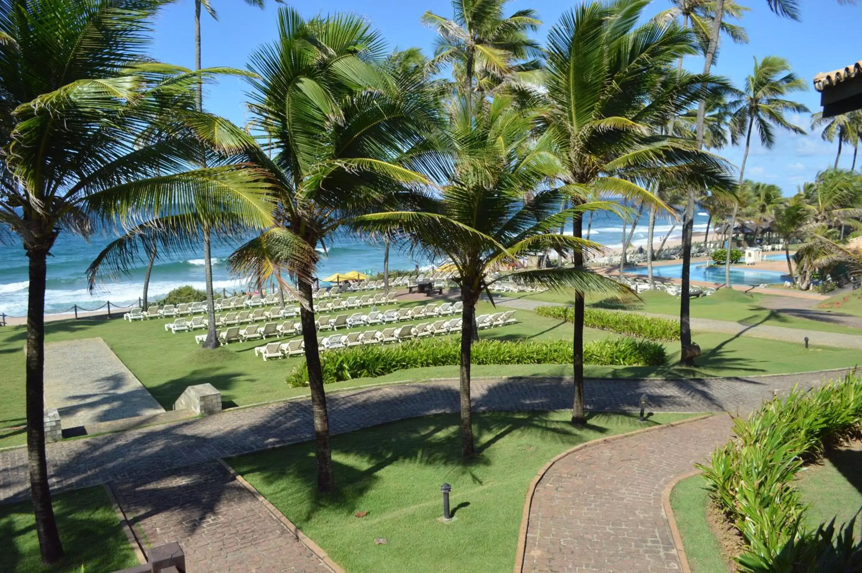 Area and facilities, Garden in Catussaba Resort Hotel