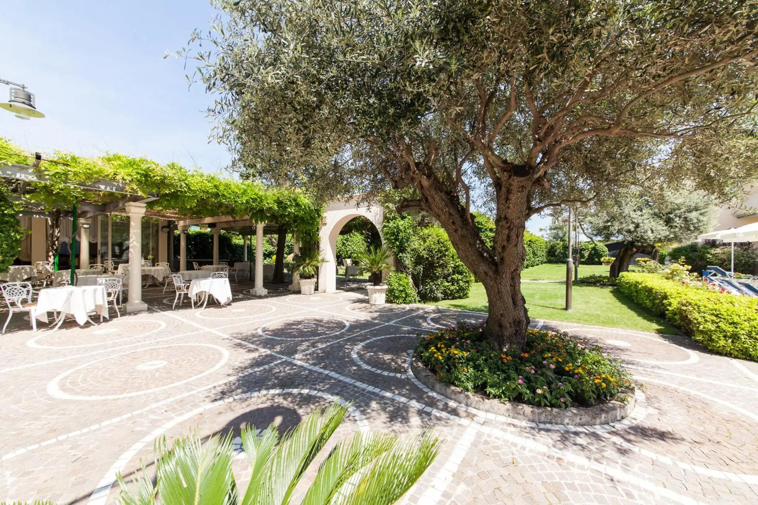 Patio in Hotel Aurelia