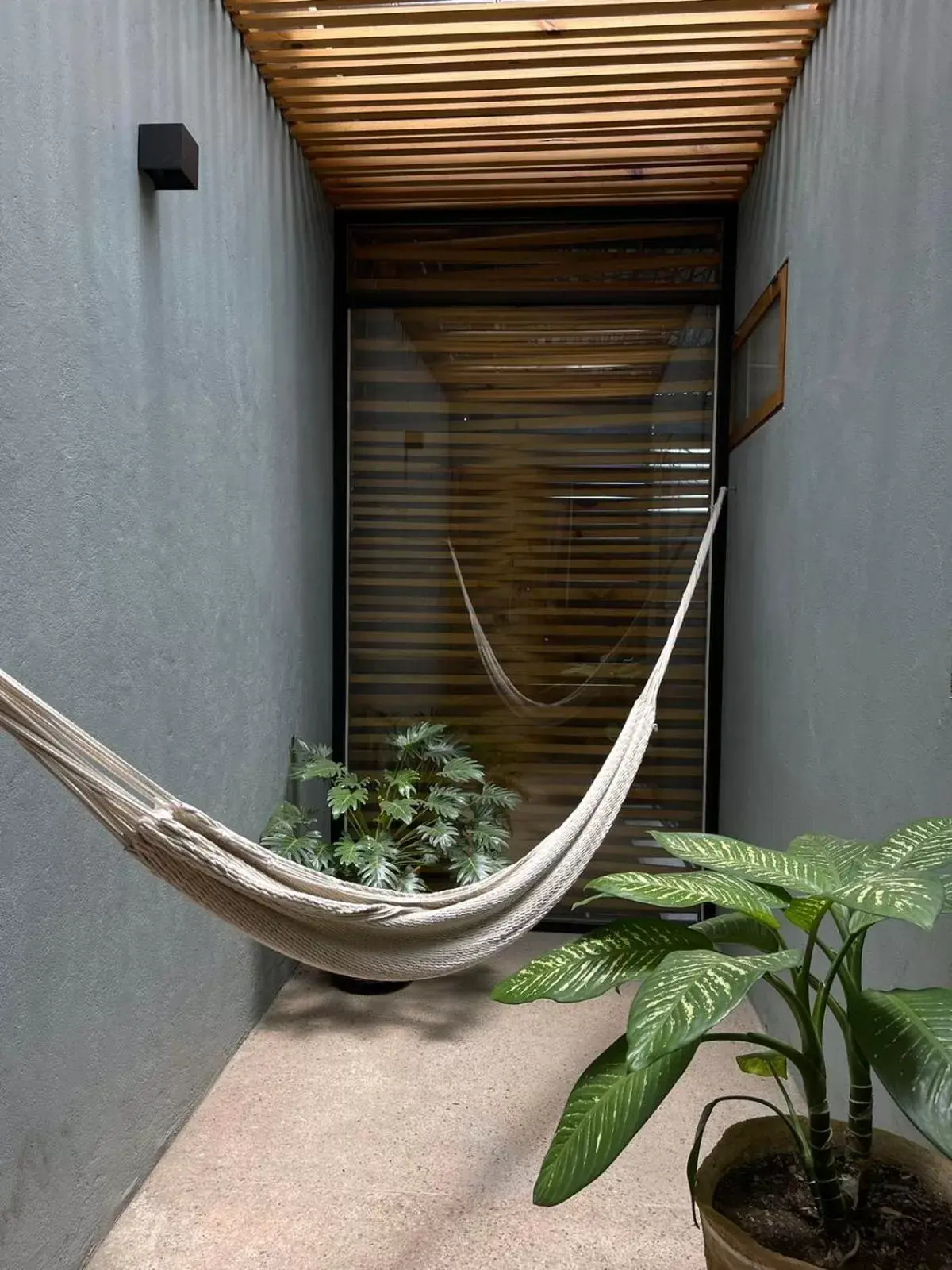 Garden view in Hotel Casa de Arte Gallery and Pool