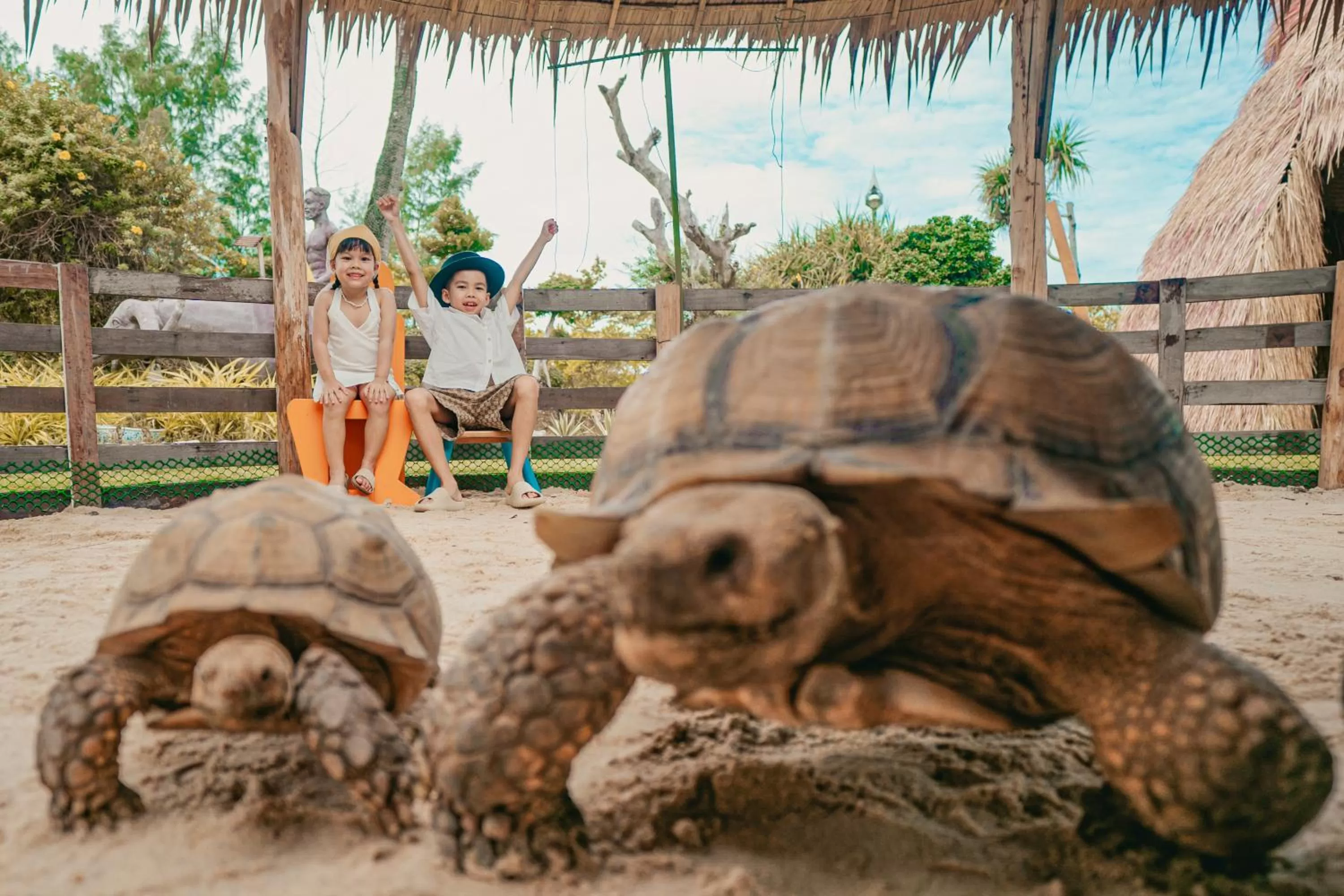 Day in Thavorn Palm Beach Resort Phuket