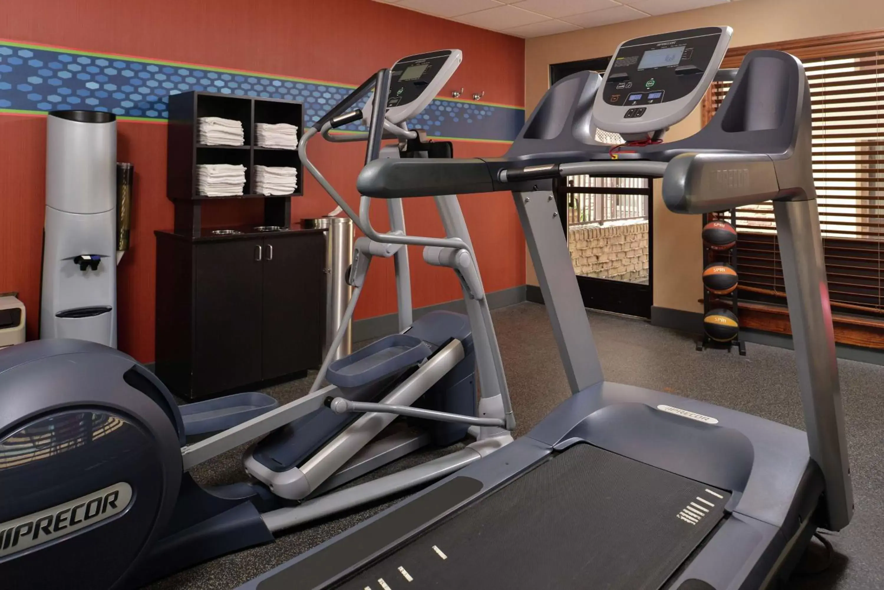 Fitness centre/facilities, Fitness Center/Facilities in Hampton Inn South Hill