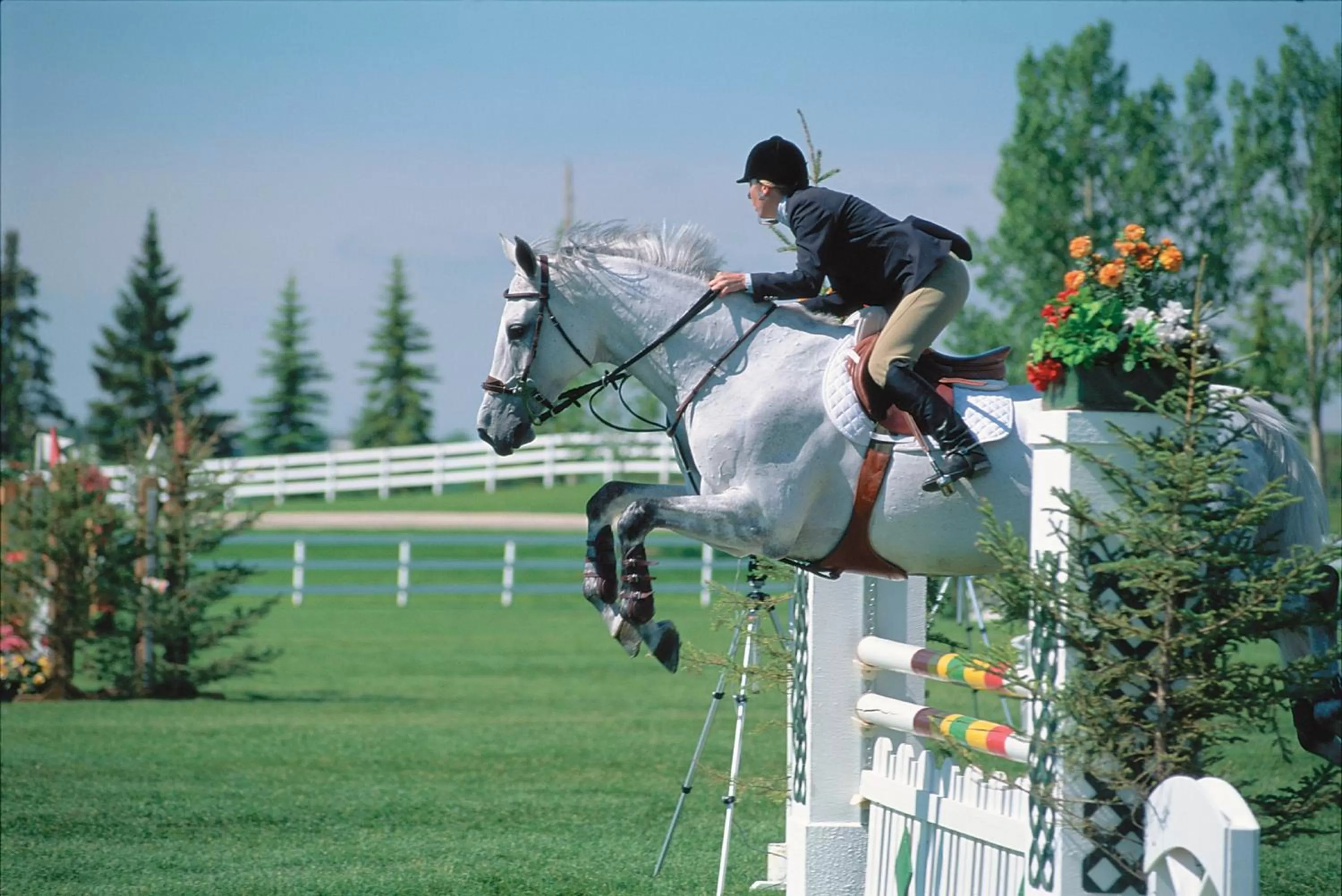 Nearby landmark in Holiday Inn Hotel & Suites Calgary South - Conference Ctr by IHG